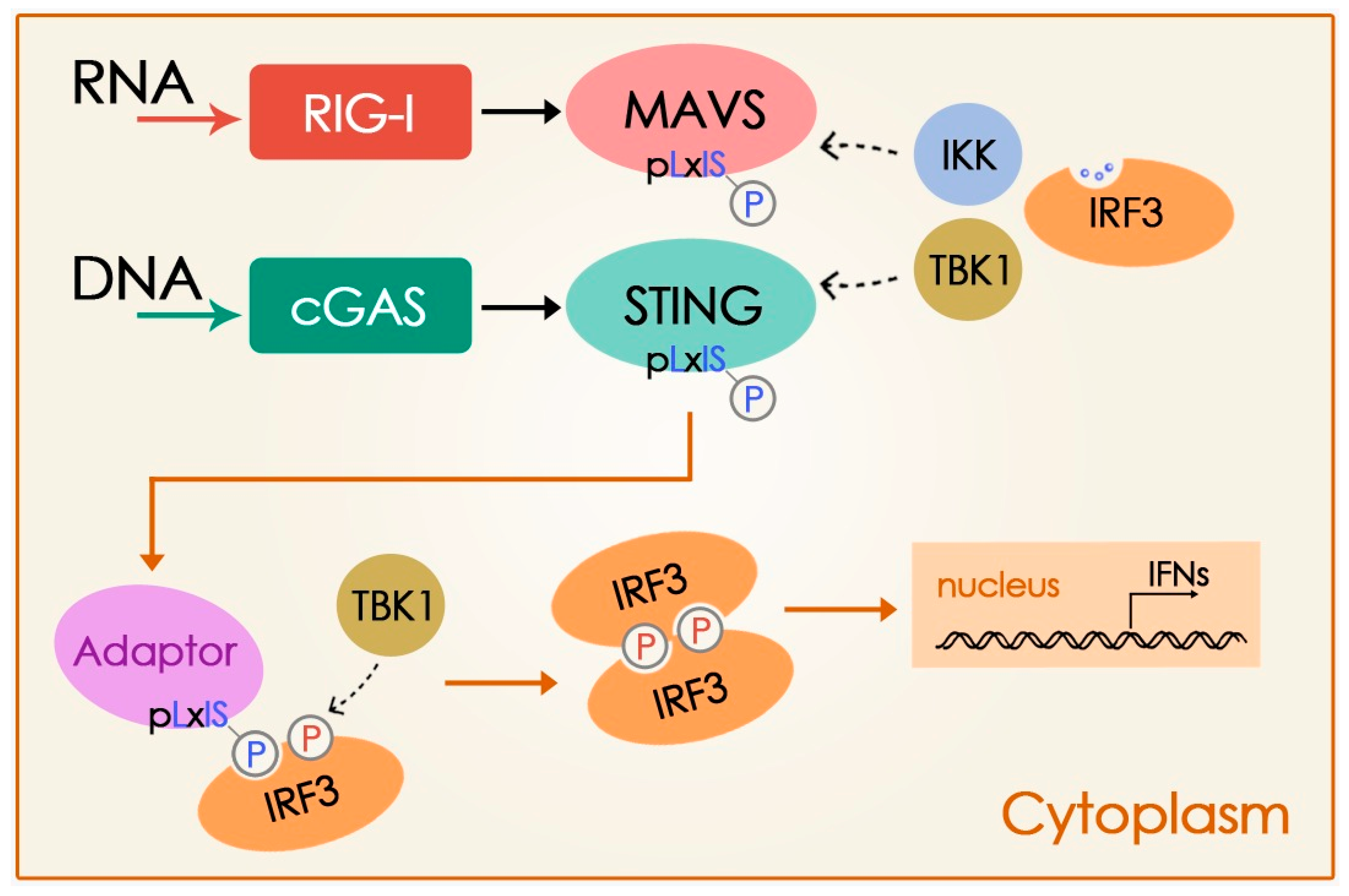 Preprints 144170 g001