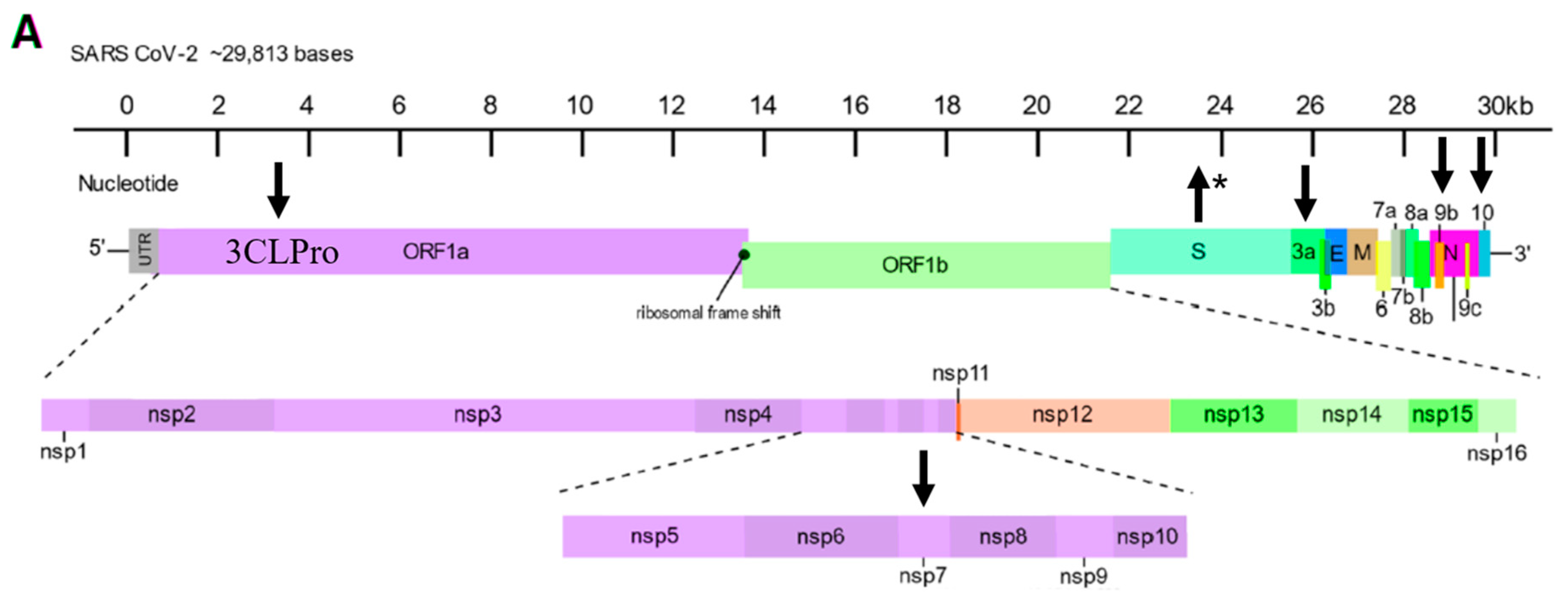 Preprints 144170 g002