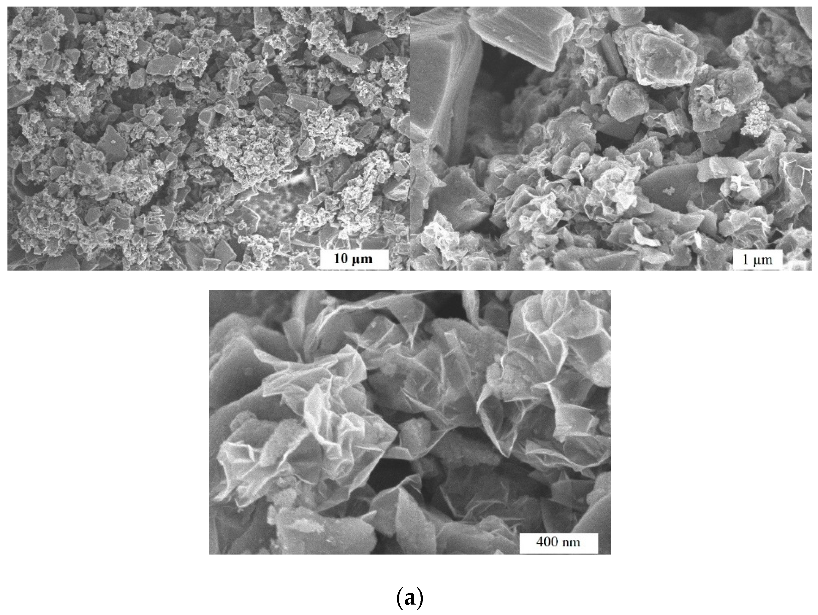 Preprints 151826 g001a