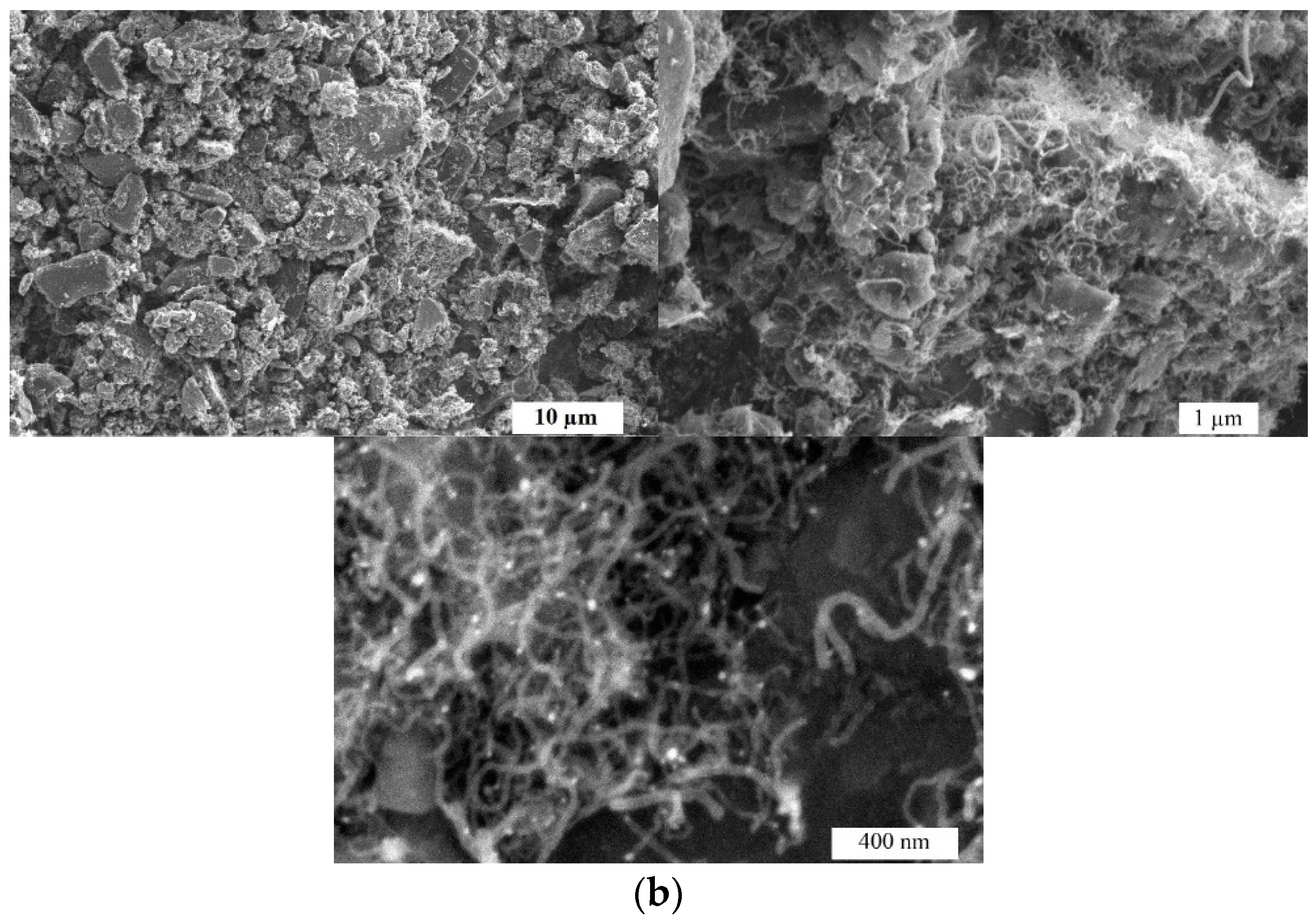 Preprints 151826 g001b