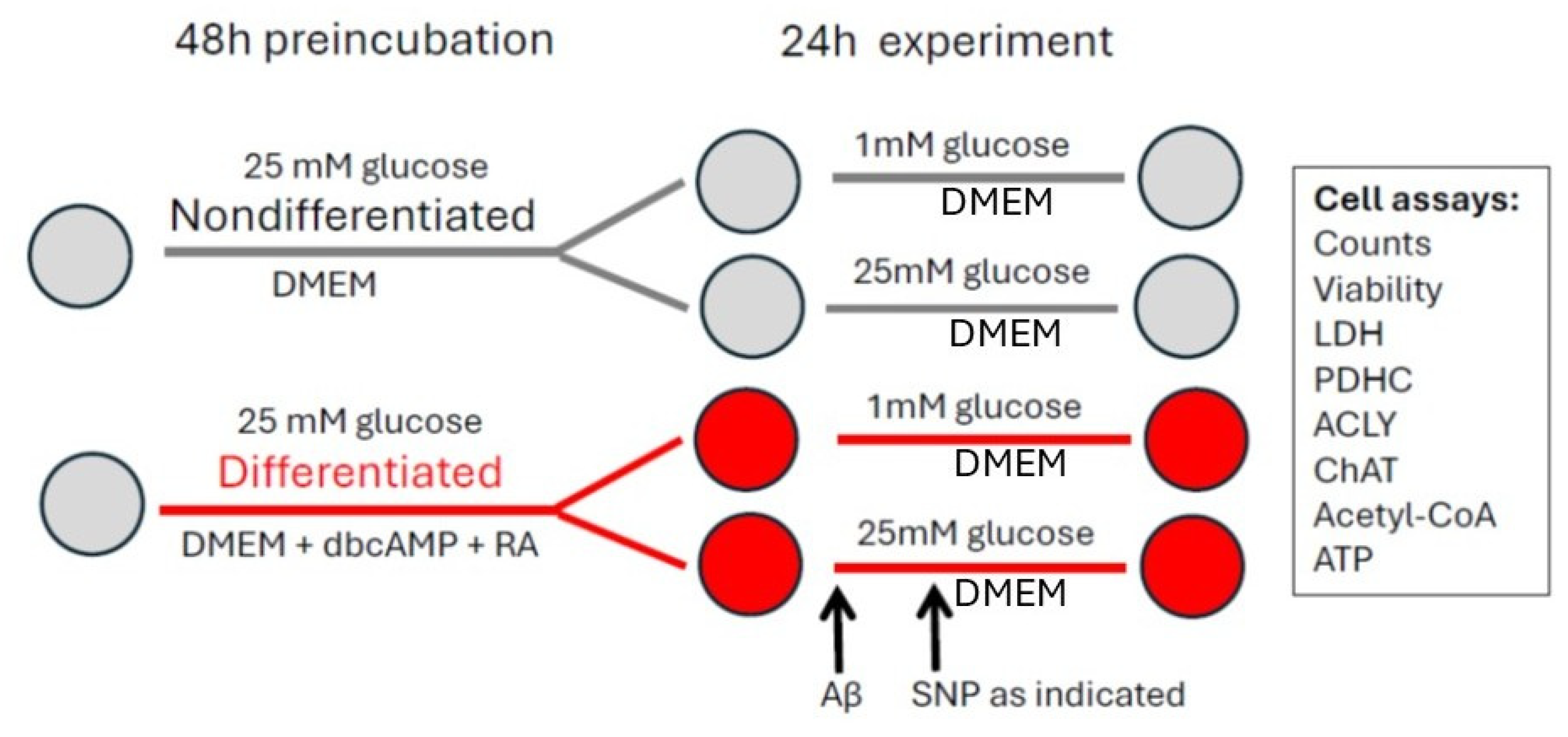 Preprints 200643 g001