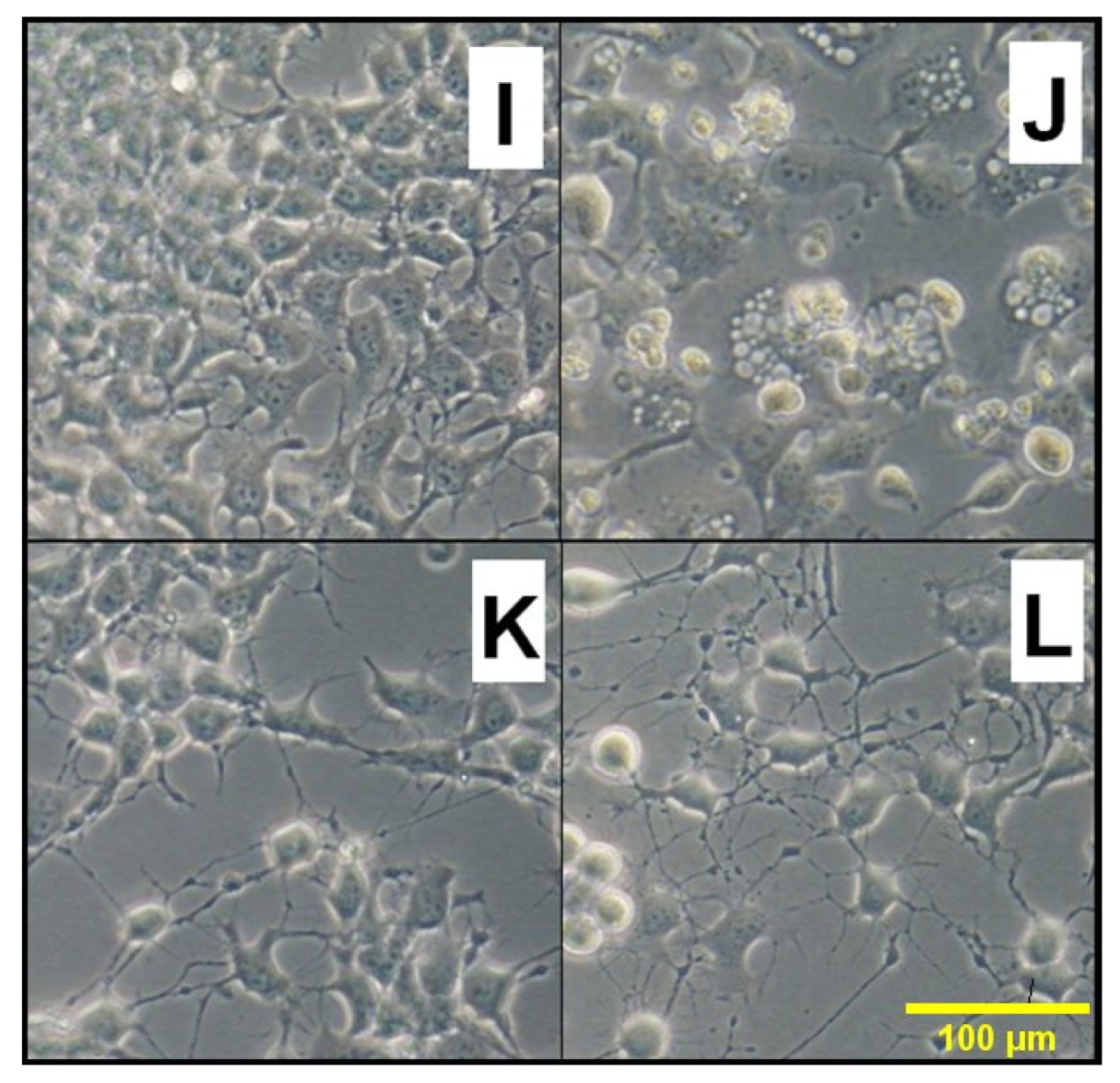 Preprints 200643 g002b