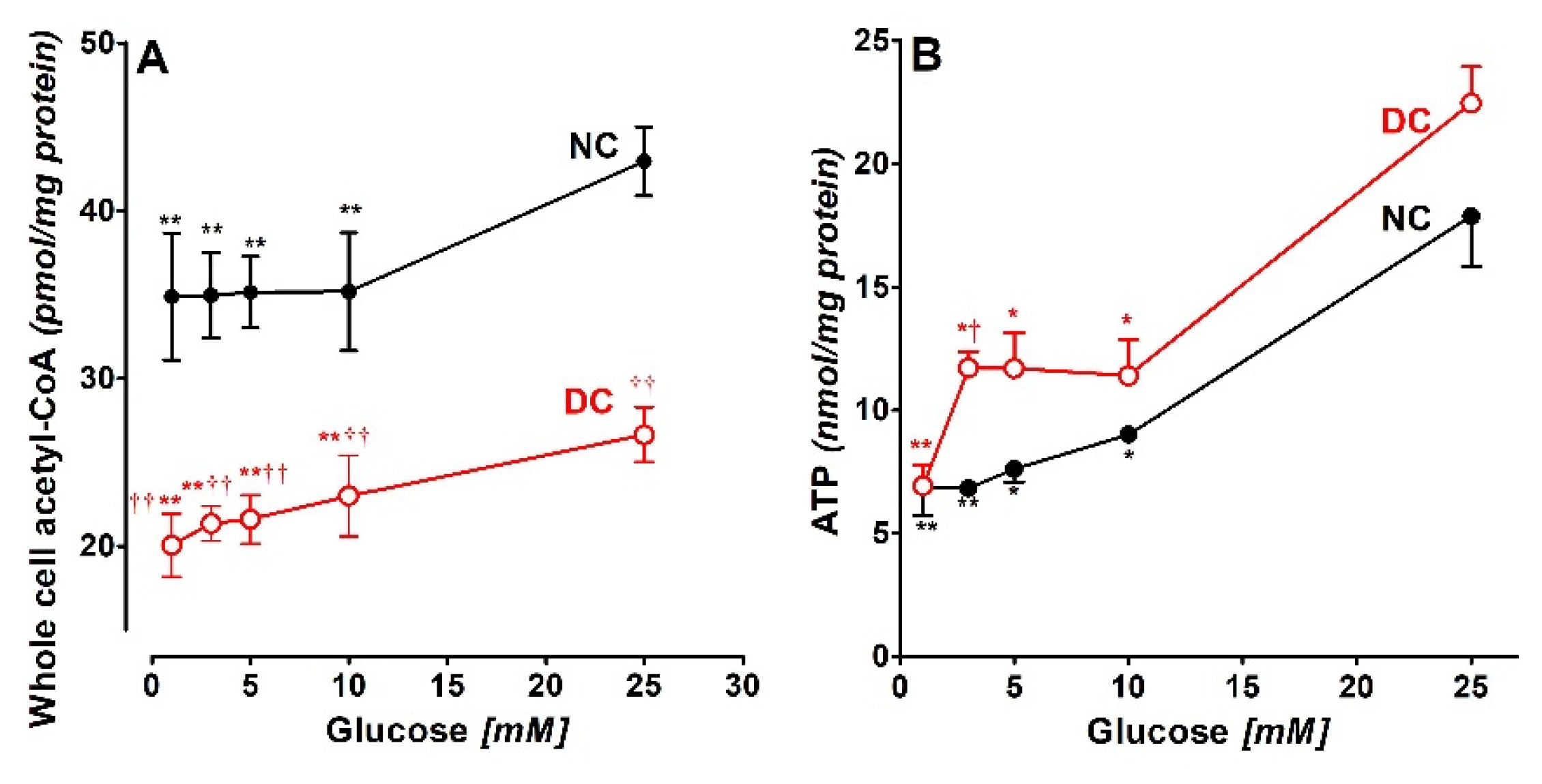 Preprints 200643 g004