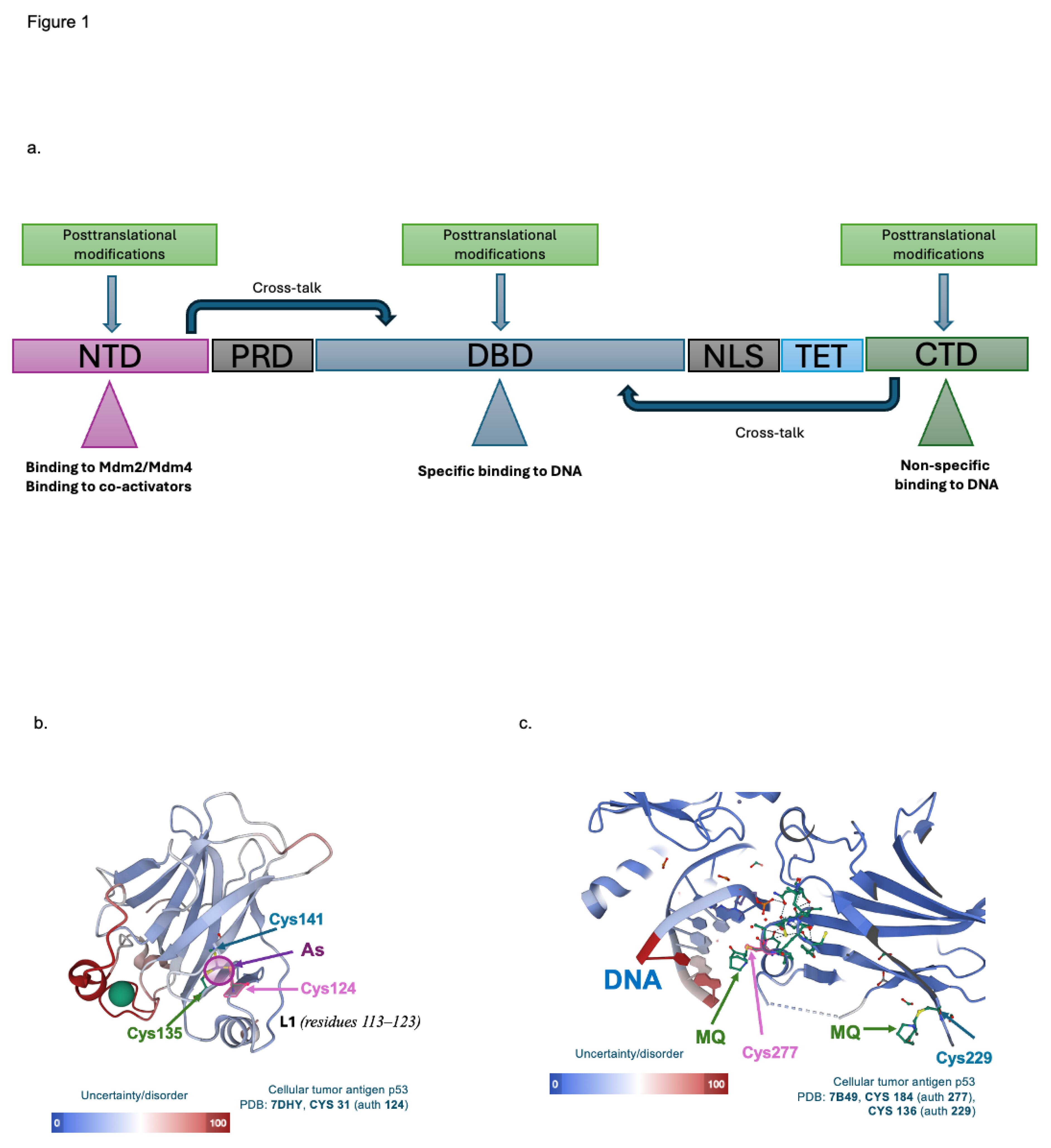 Preprints 148290 g001
