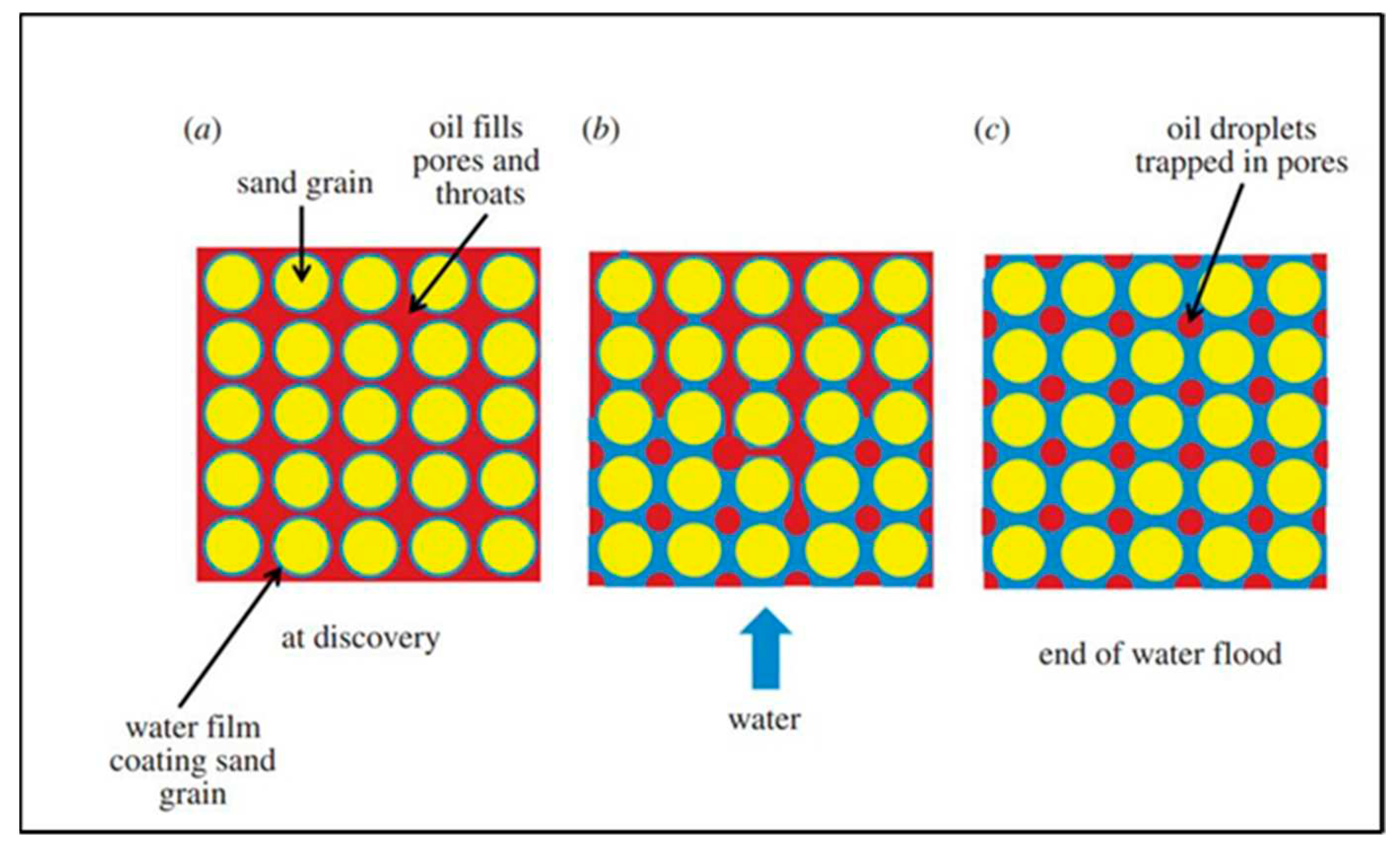 Preprints 86061 g005