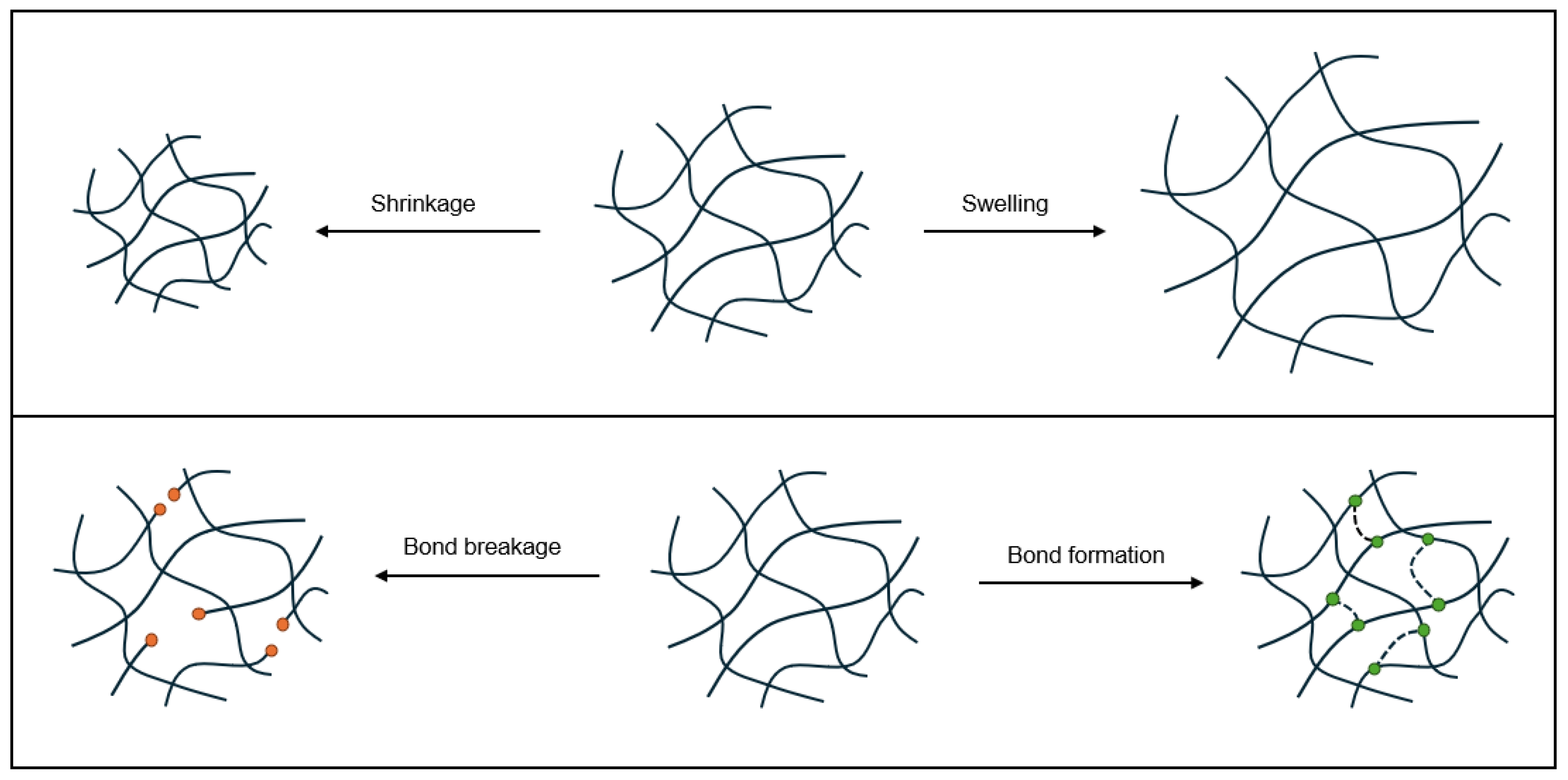Preprints 195129 g006