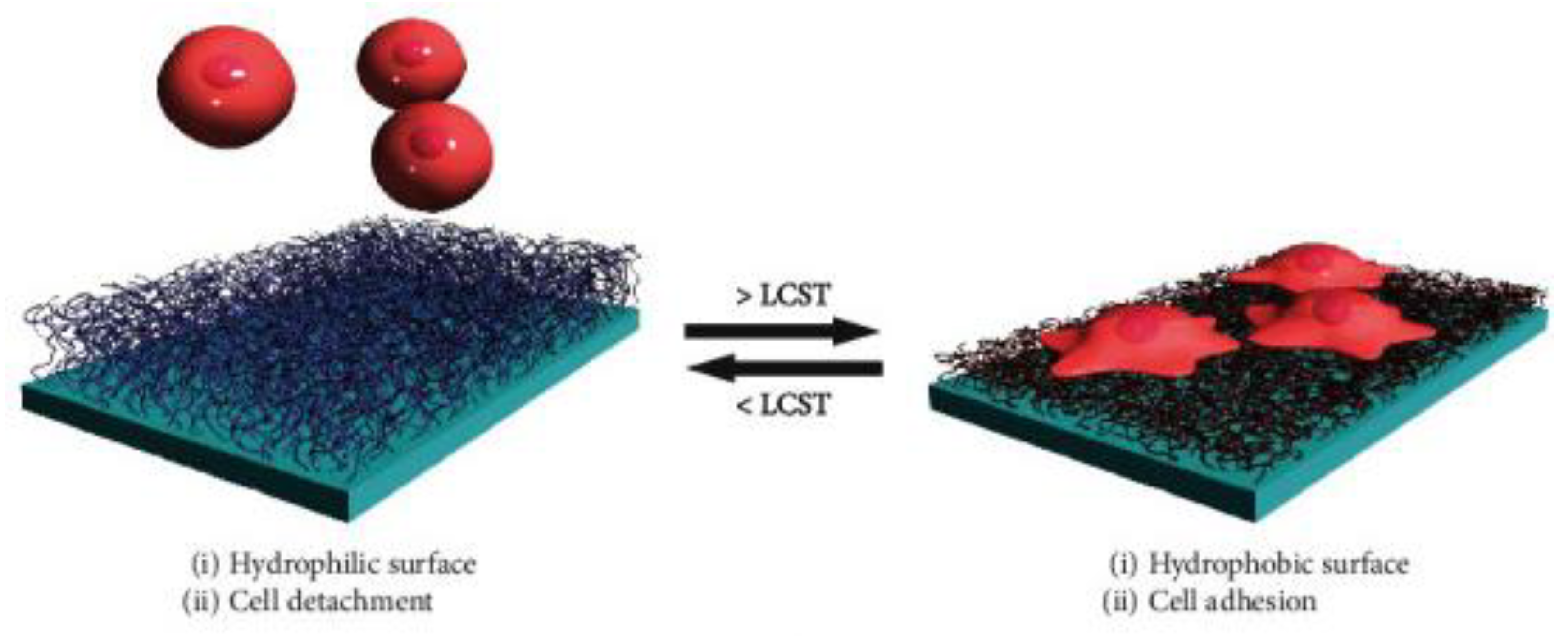 Preprints 195129 g009