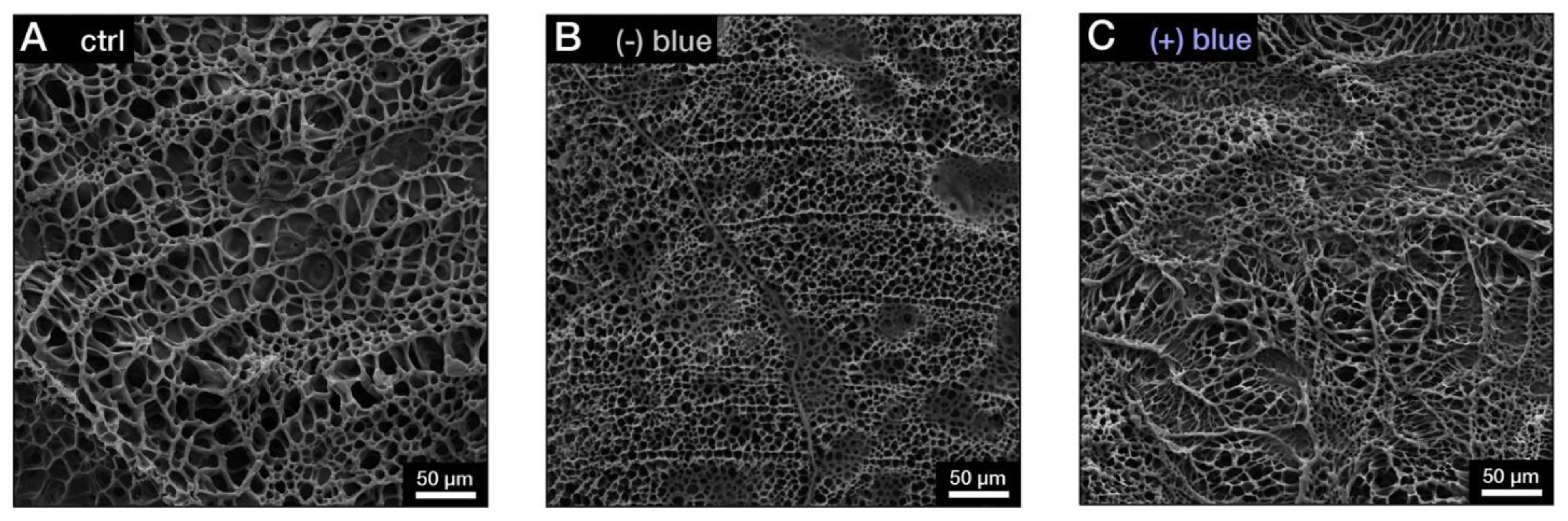 Preprints 195129 g010