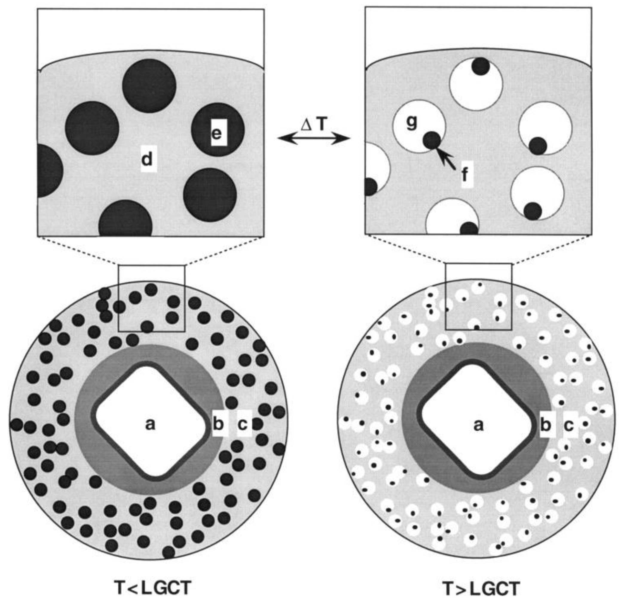 Preprints 195129 g014