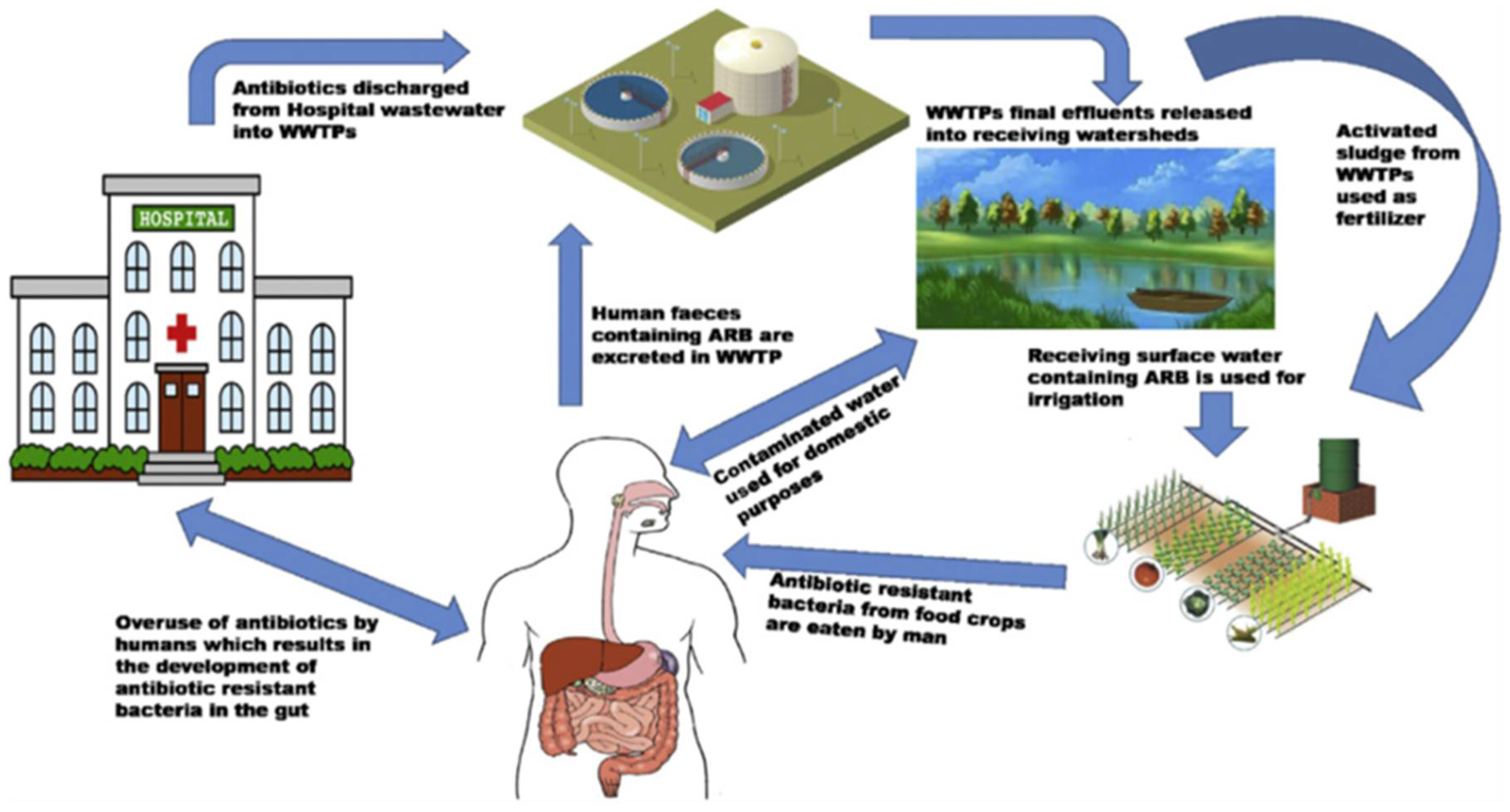 Preprints 106131 g002
