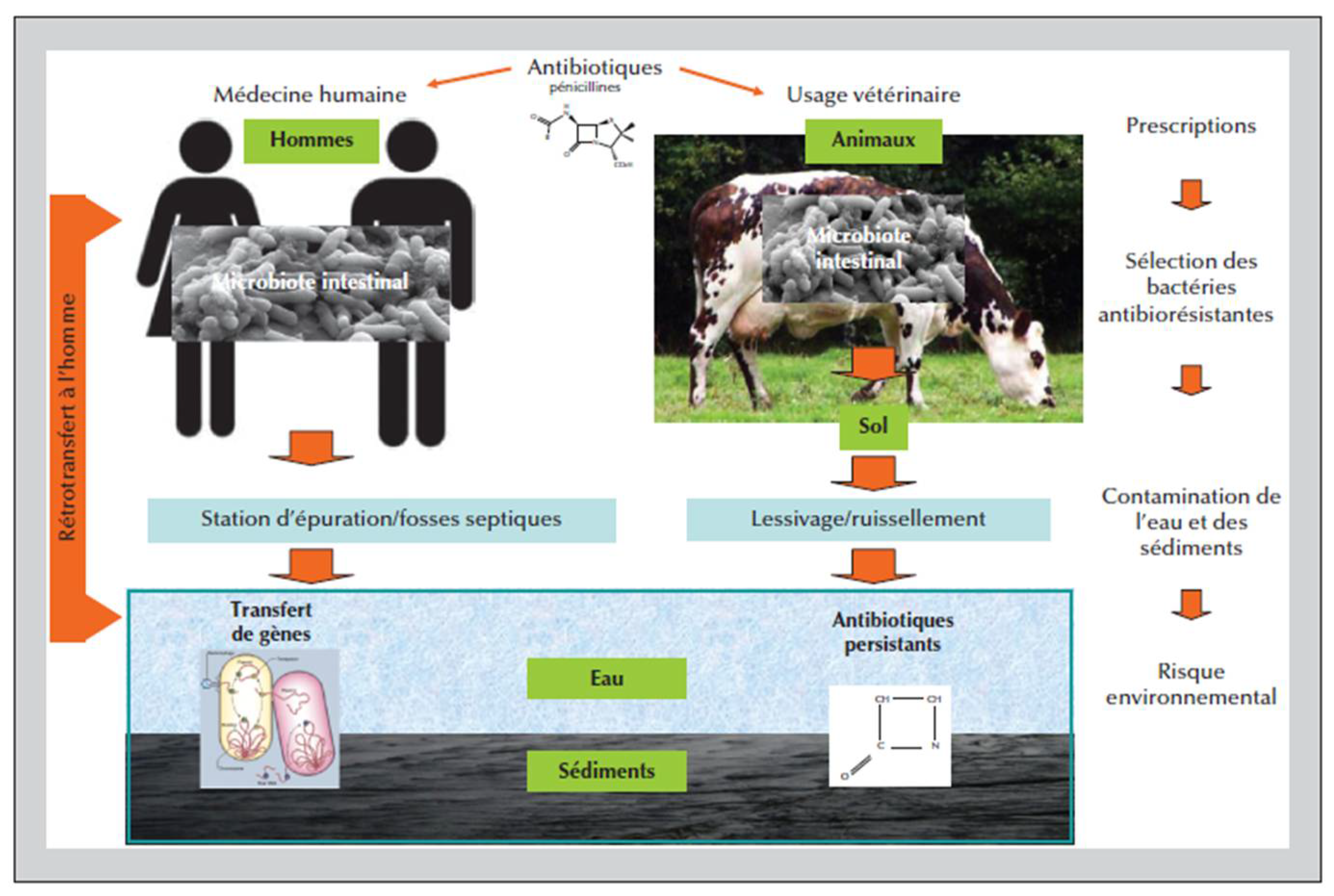 Preprints 106131 g003