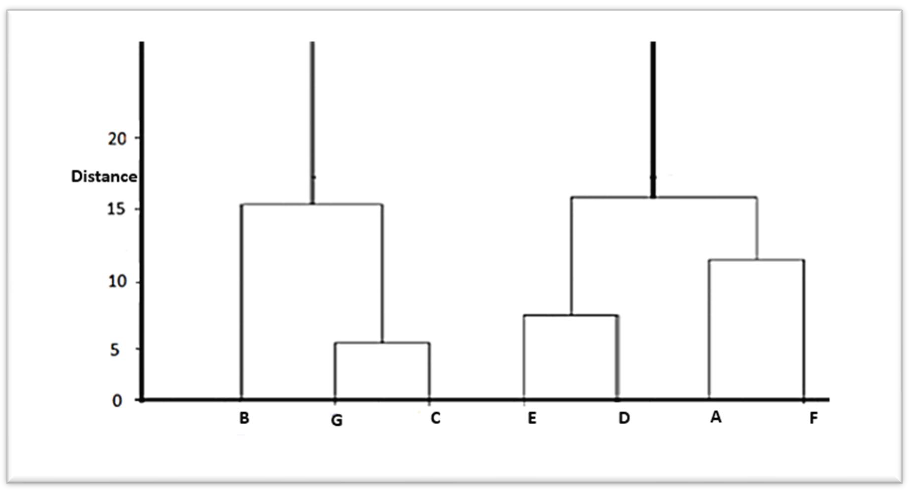 Preprints 156303 g005