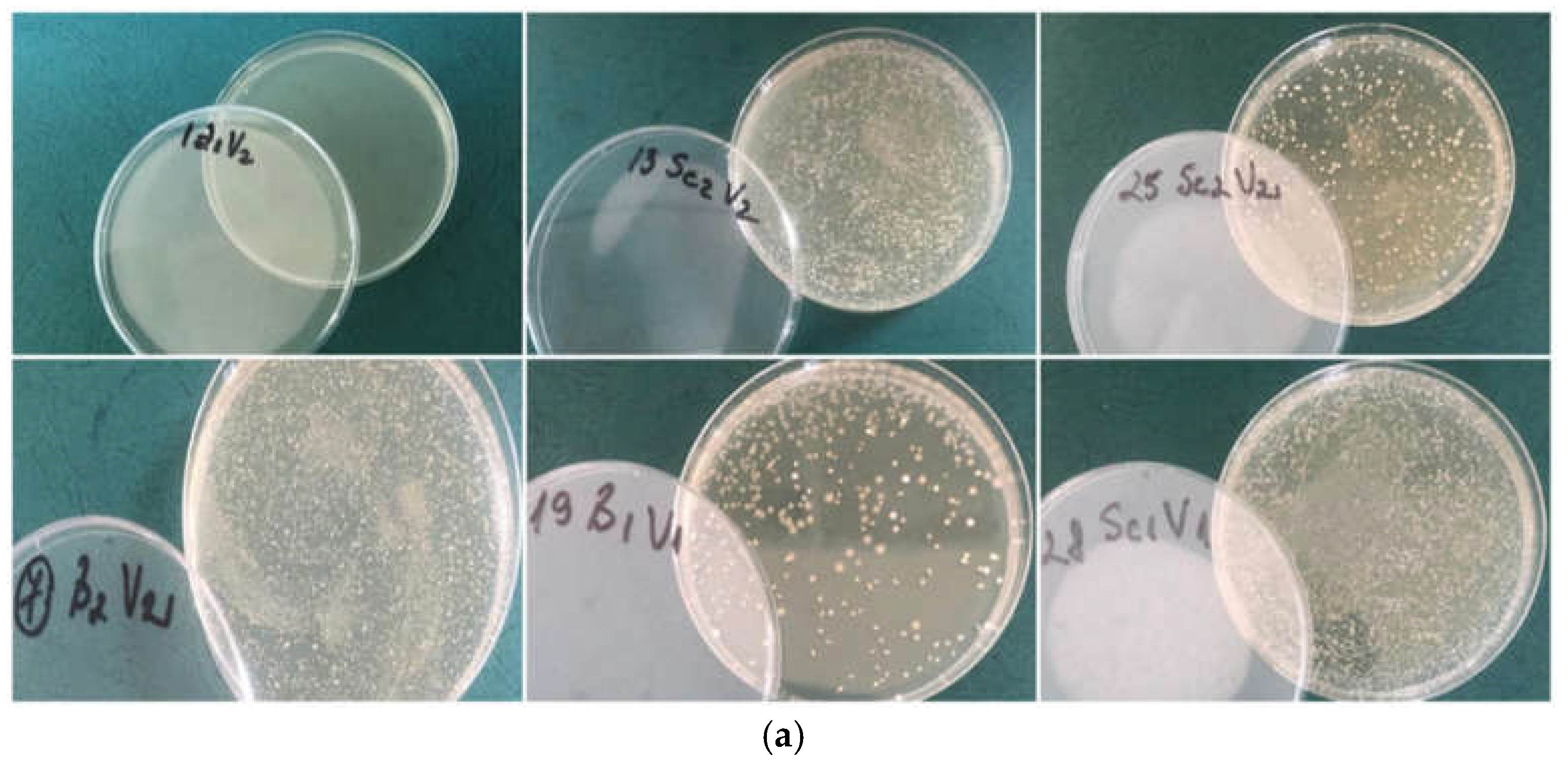 Preprints 144725 g004a