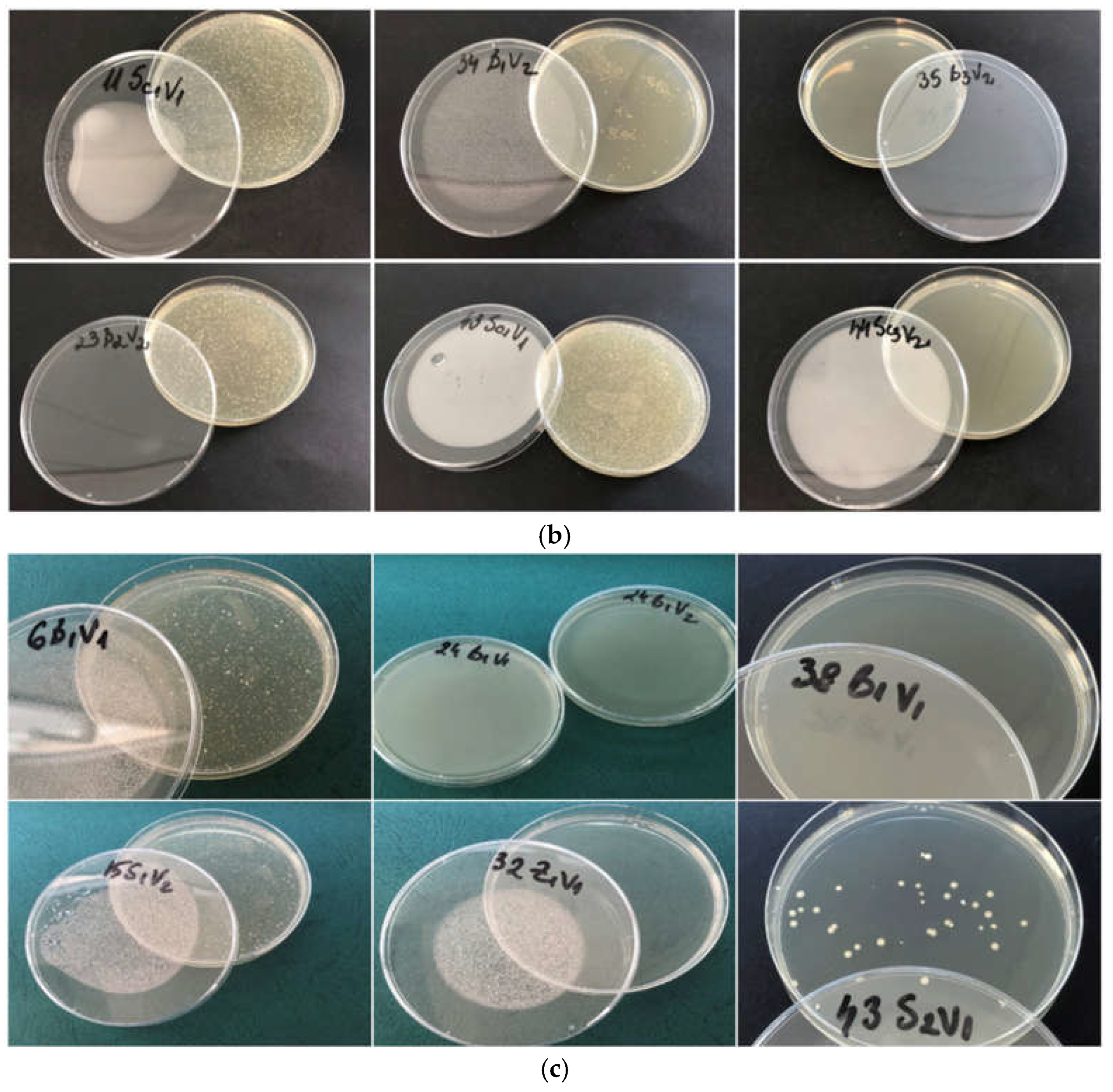 Preprints 144725 g004b