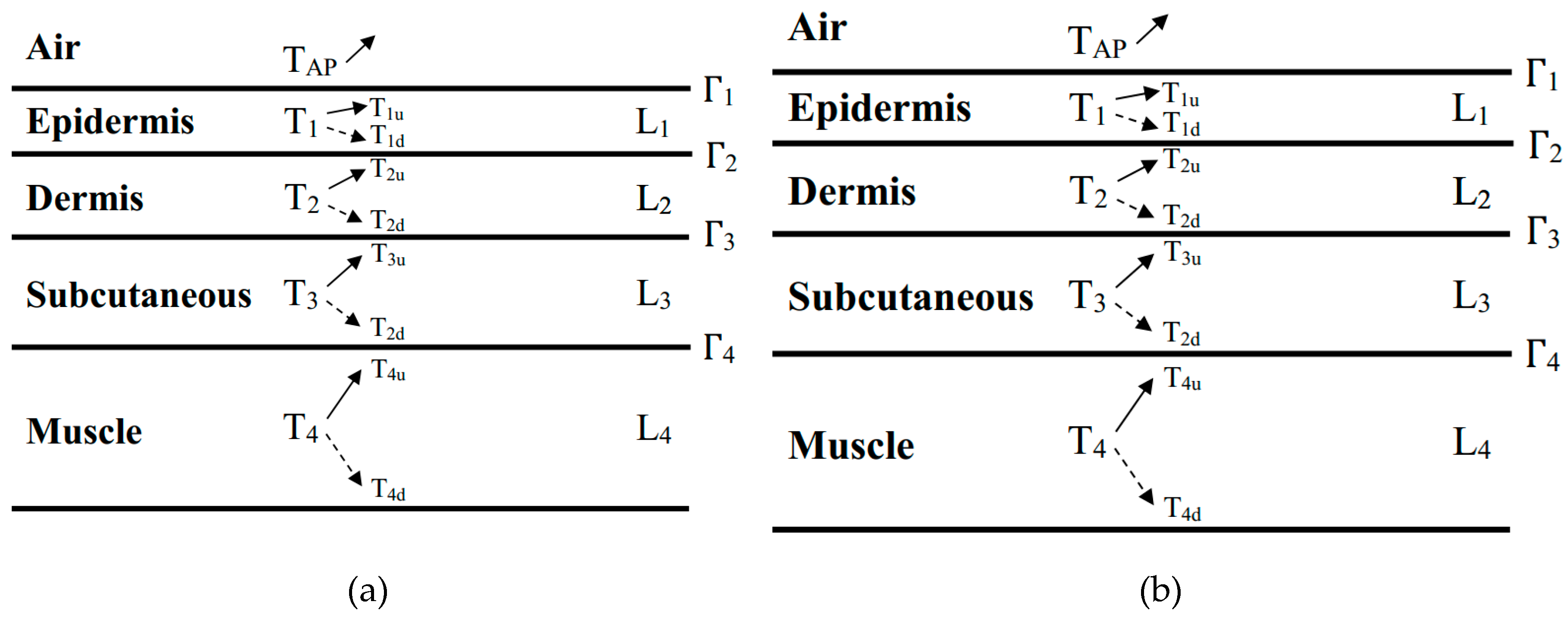 Preprints 100504 g007
