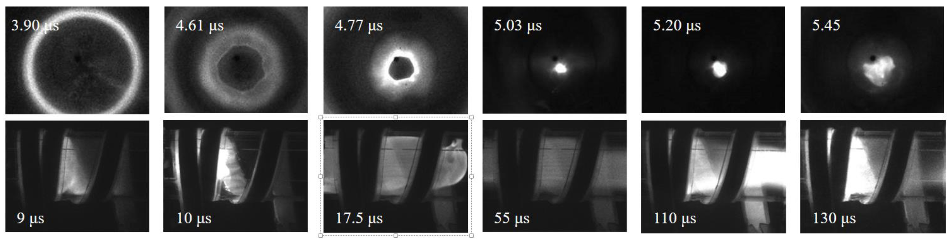 Preprints 139733 g005