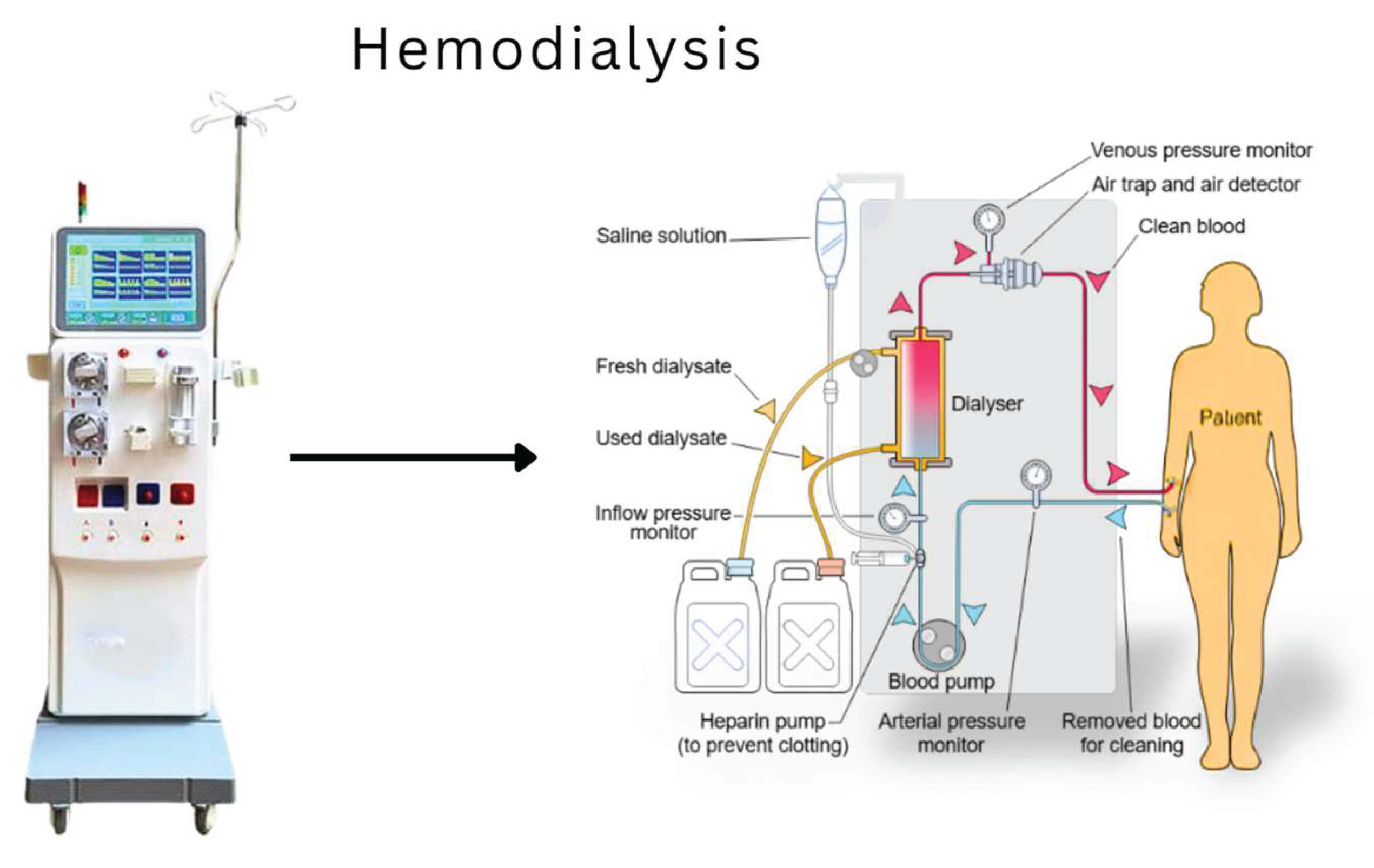 Preprints 160847 g001