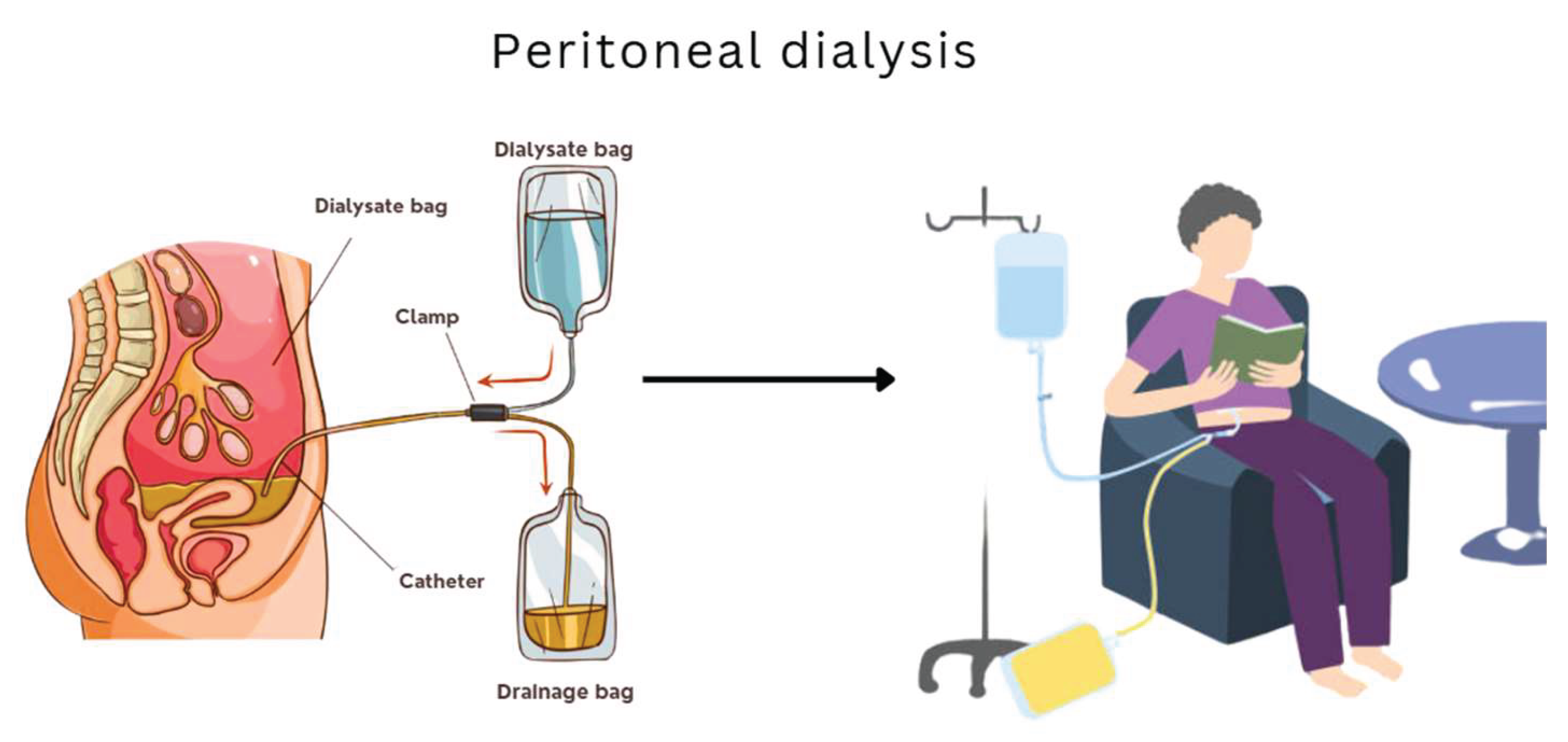 Preprints 160847 g002