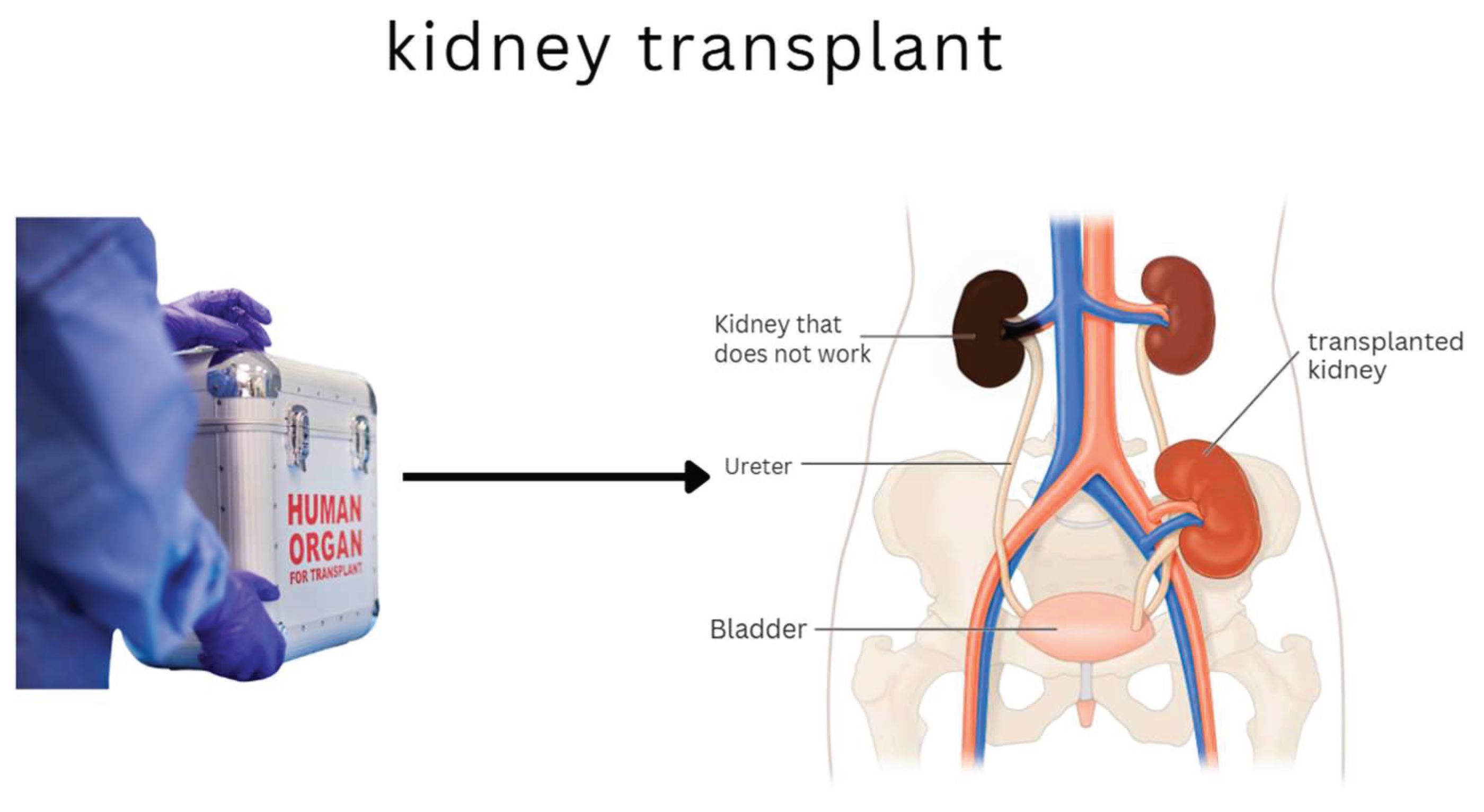 Preprints 160847 g003