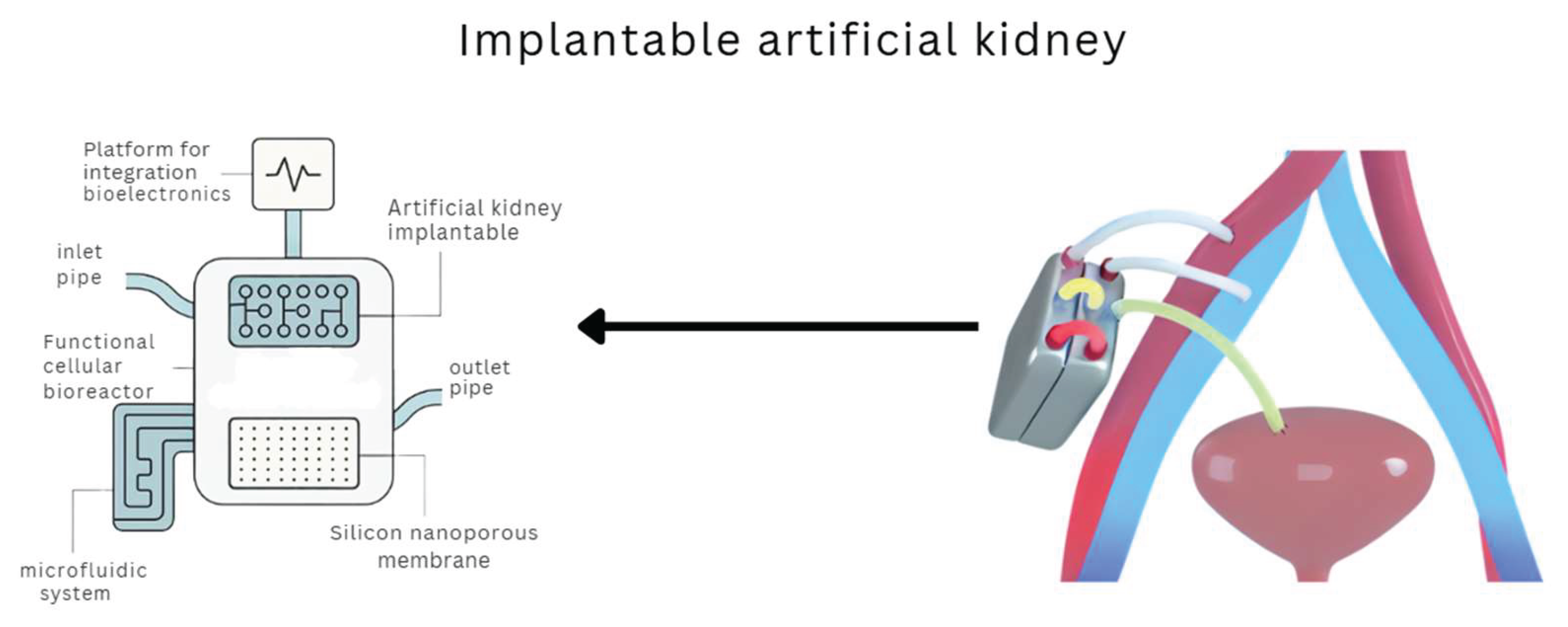 Preprints 160847 g004