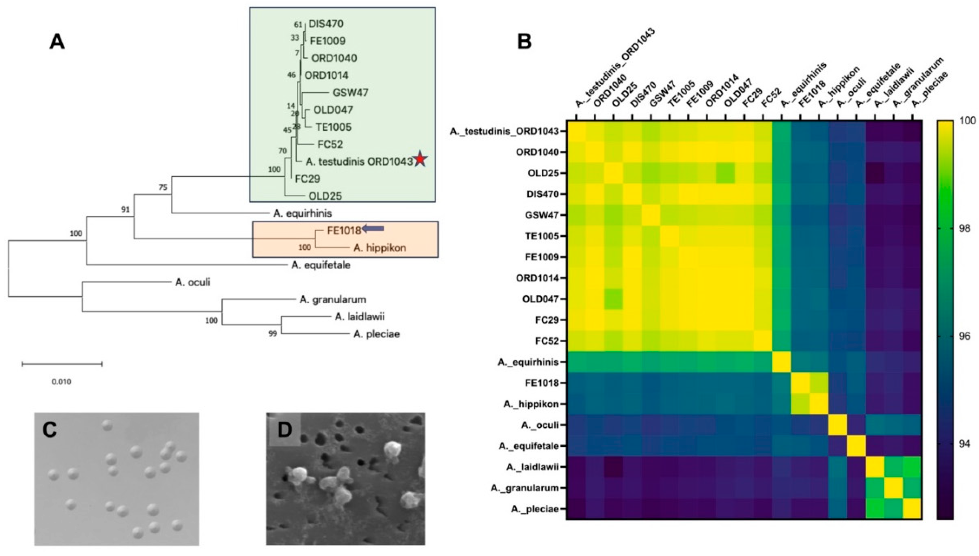 Preprints 216041 g003 Preprints 216041 g003