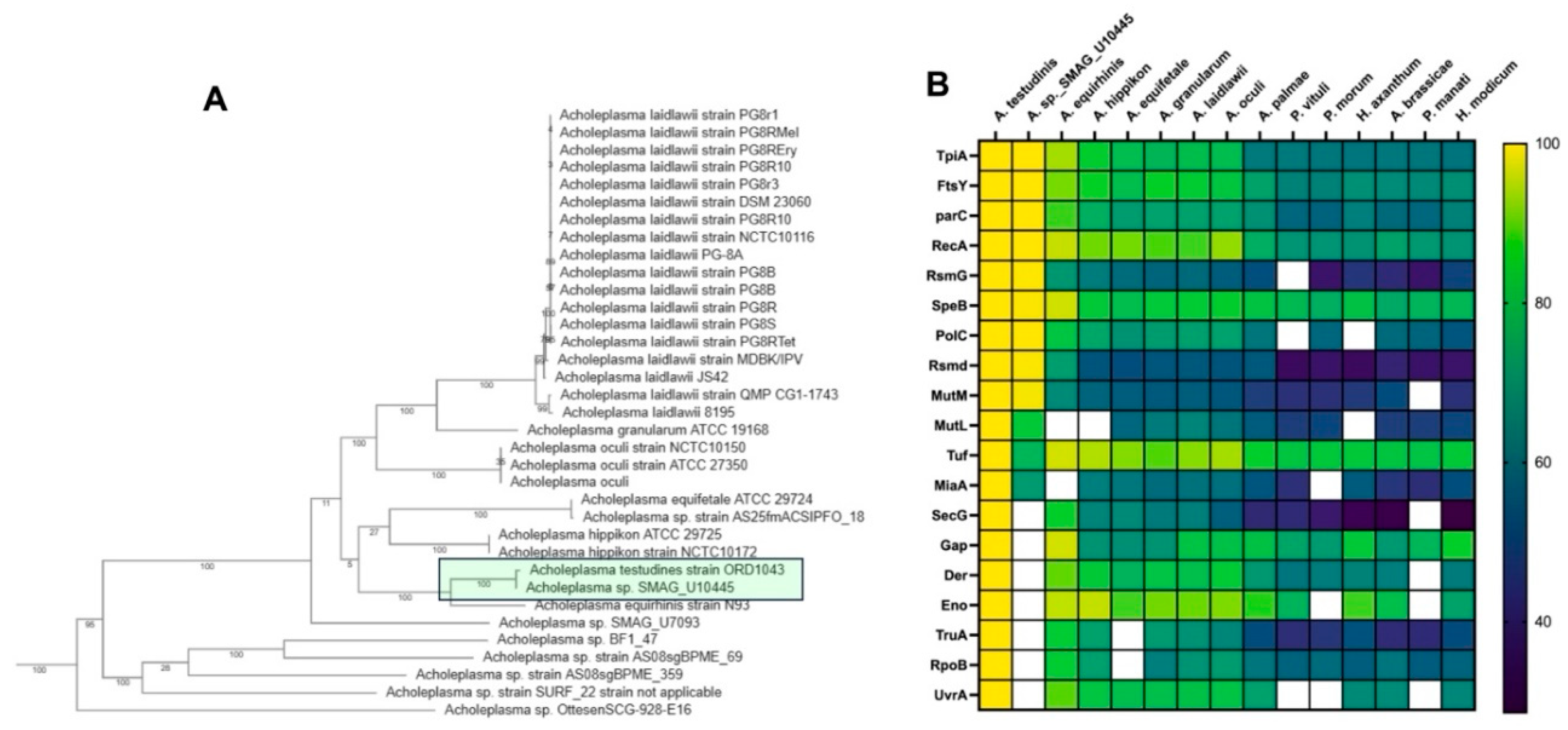 Preprints 216041 g005 Preprints 216041 g005