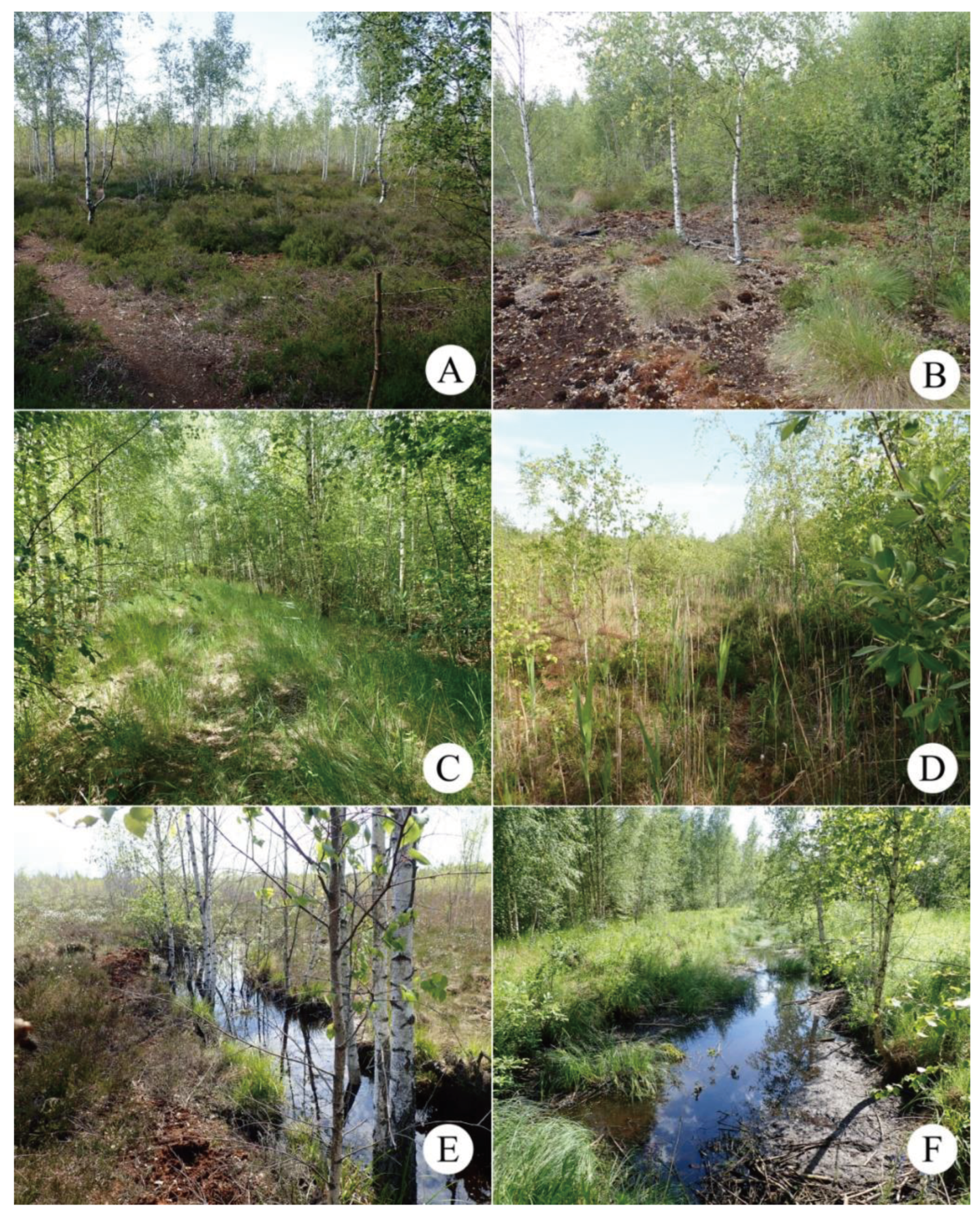 Preprints 102949 g003