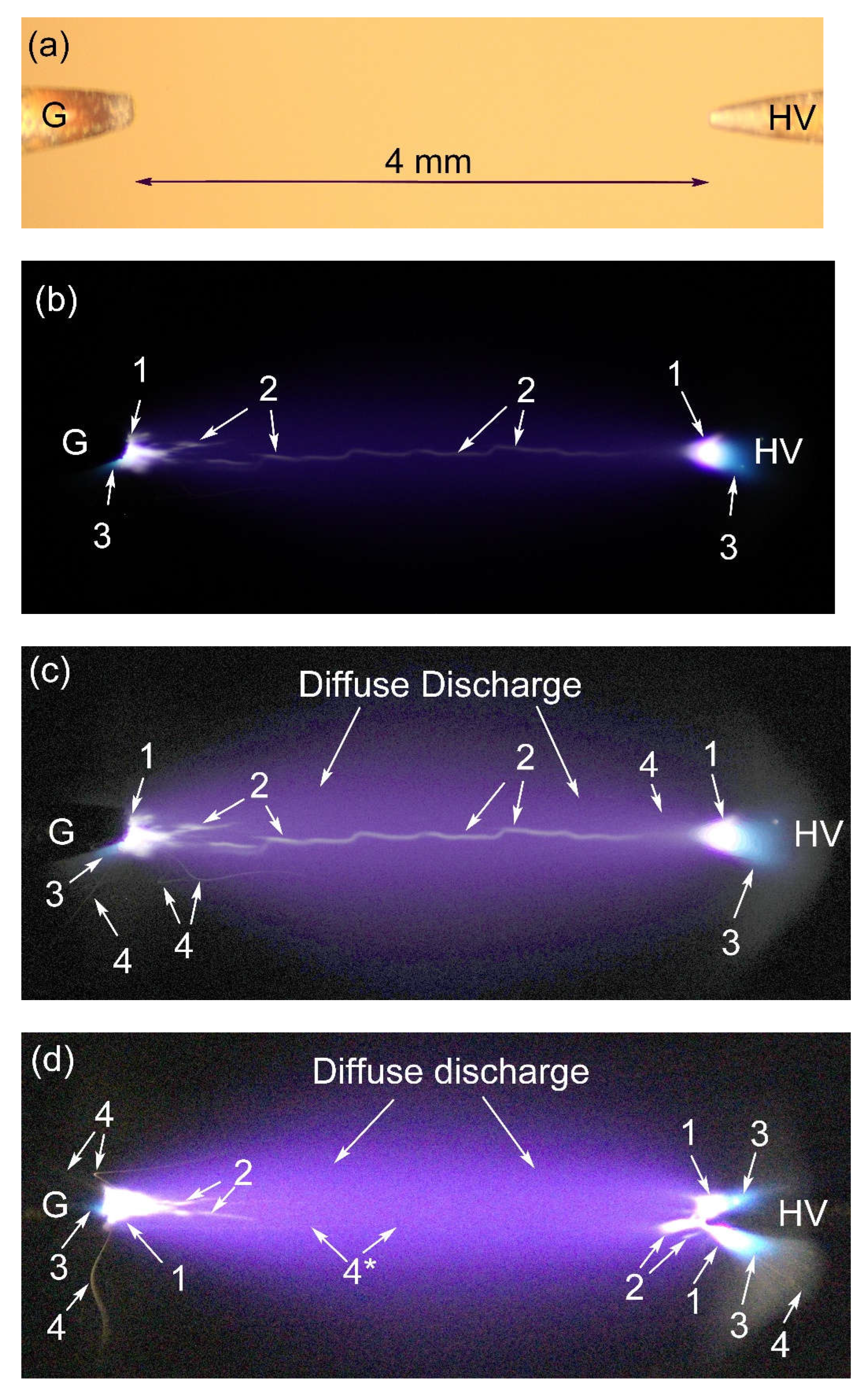 Preprints 71376 g004