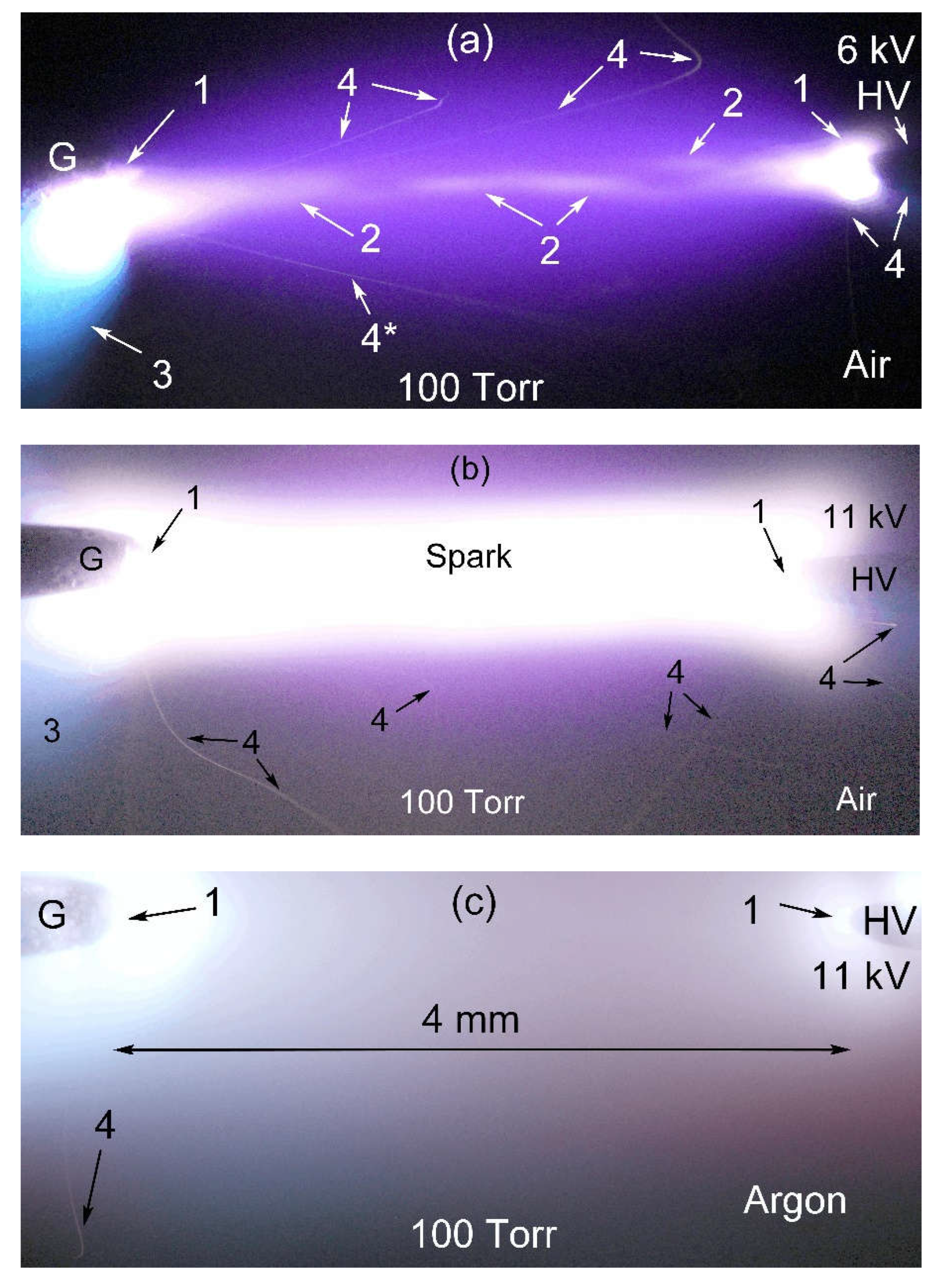 Preprints 71376 g006