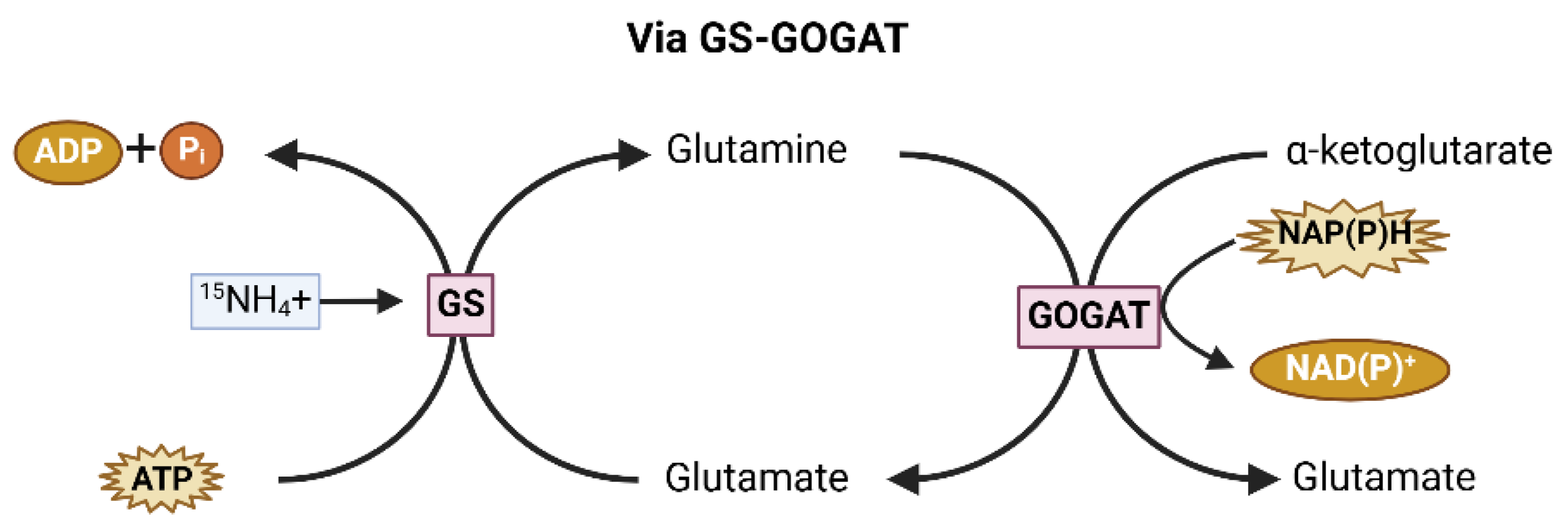 Preprints 154307 g003