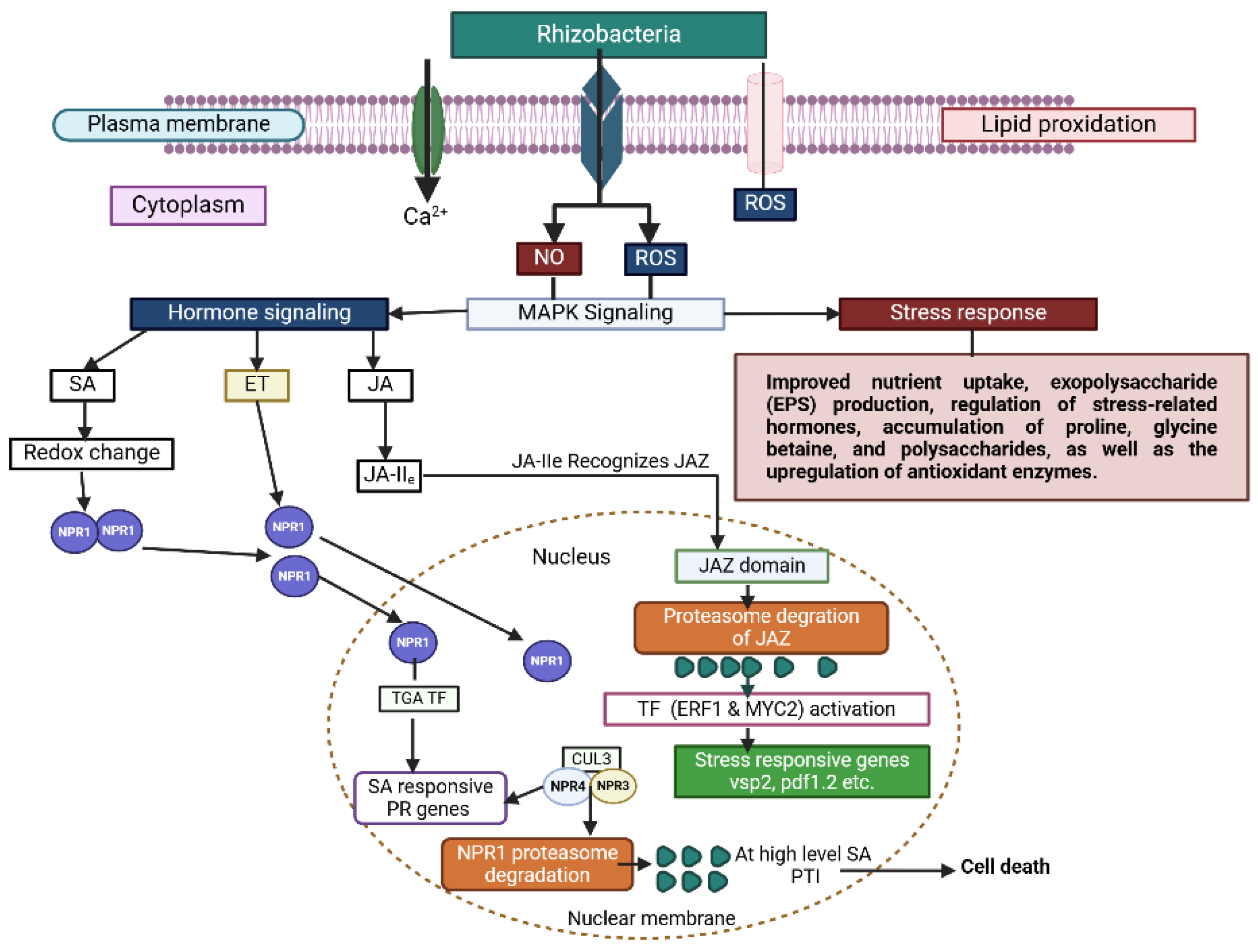 Preprints 154307 g007