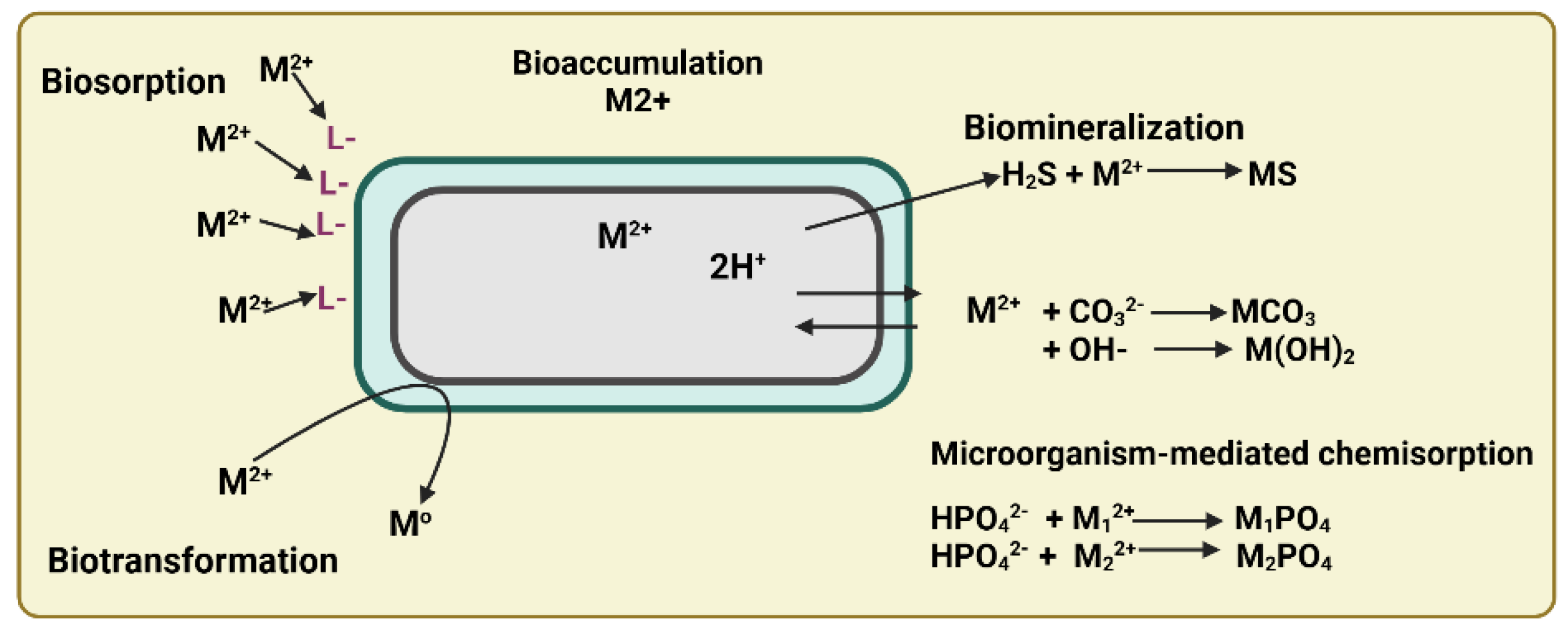 Preprints 154307 g011