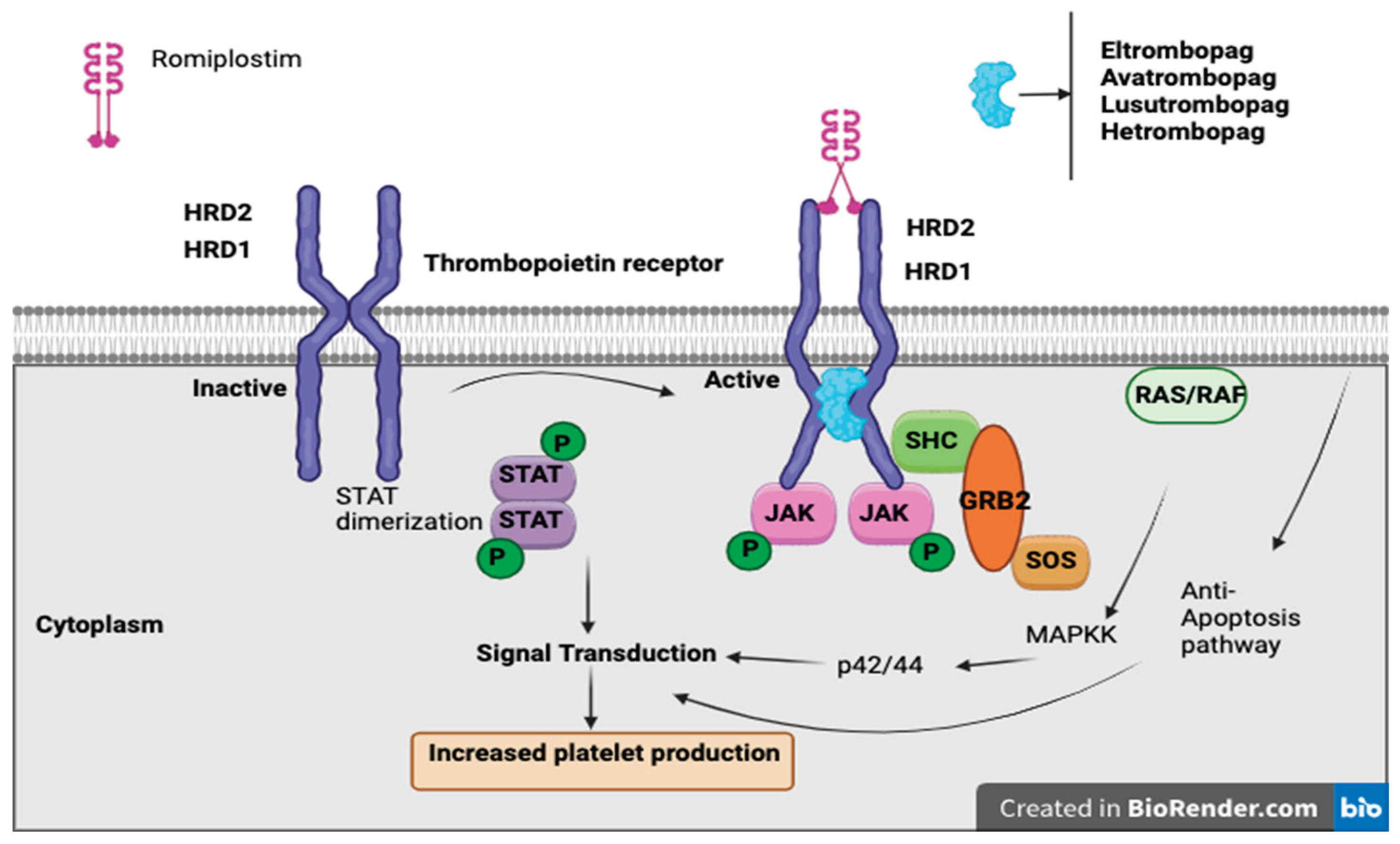 Preprints 169929 g002