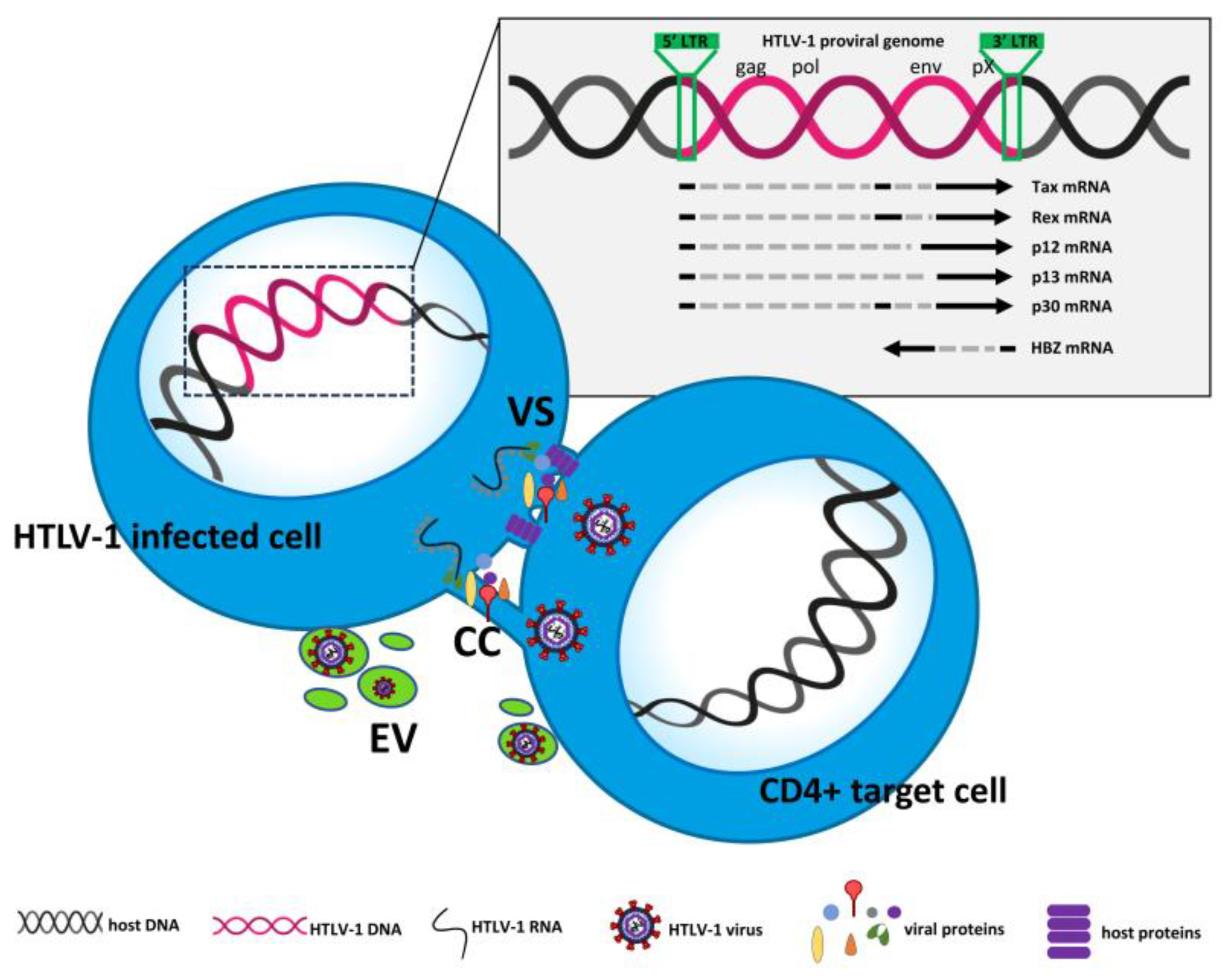 Preprints 82608 g001
