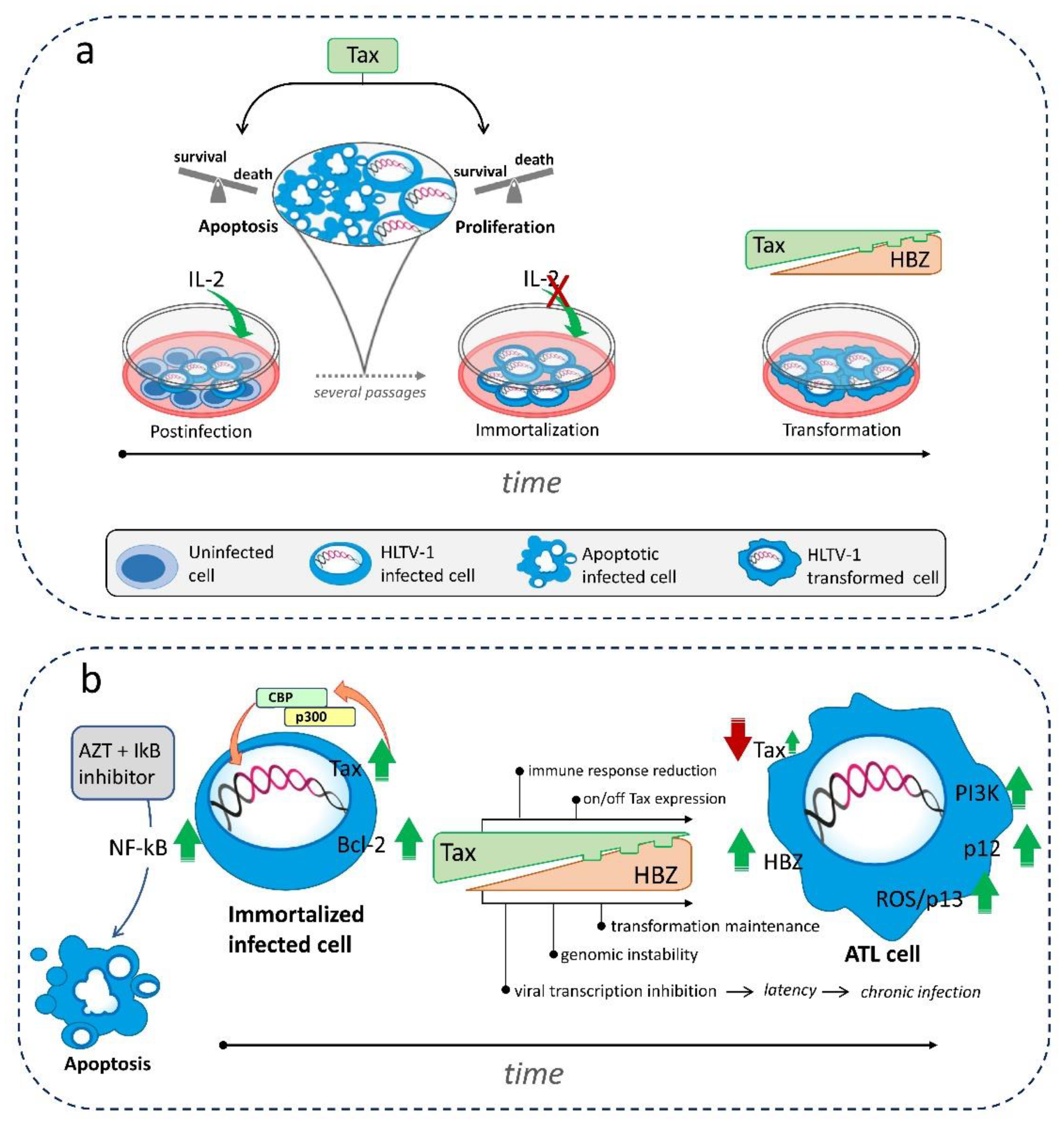 Preprints 82608 g002