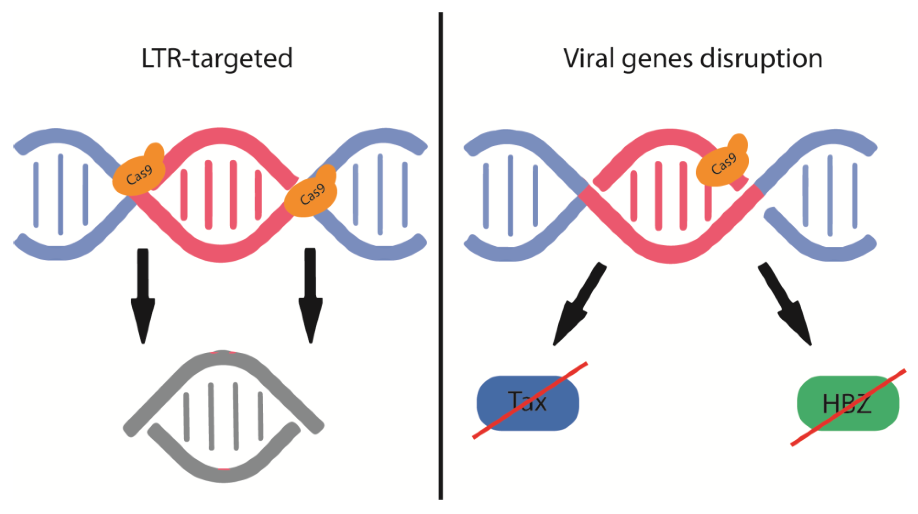 Preprints 82608 g003