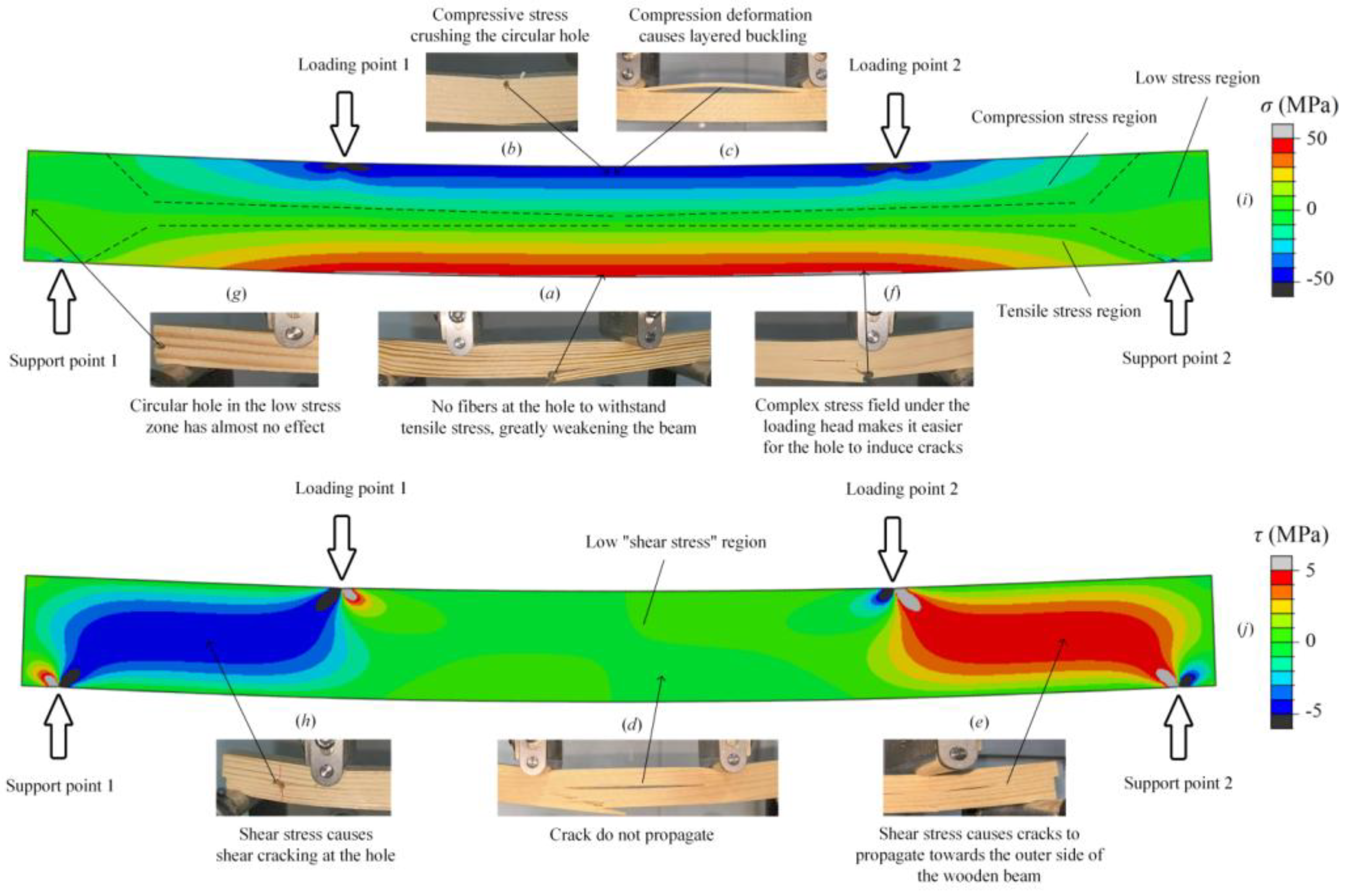 Preprints 192990 g006