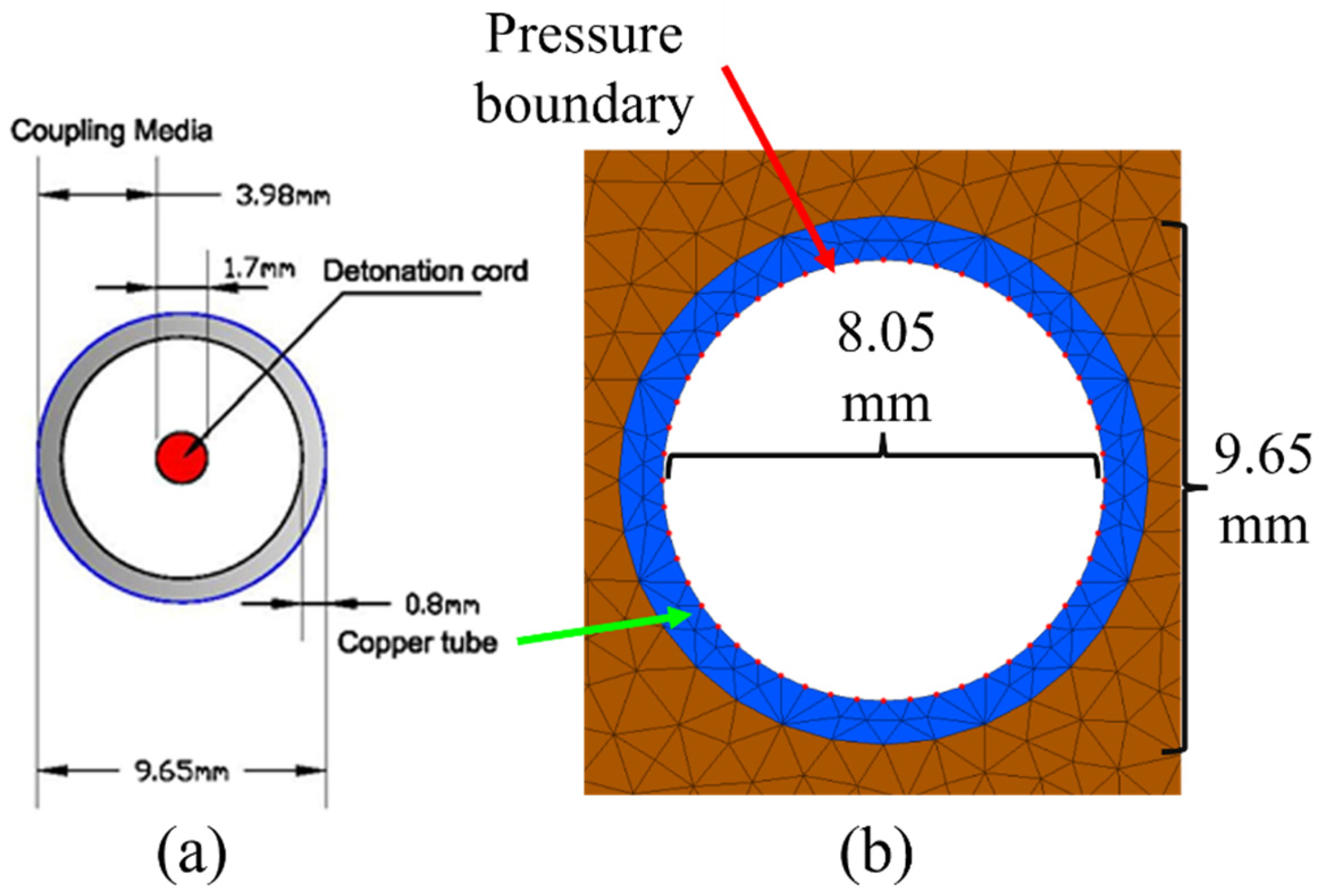Preprints 121583 g002