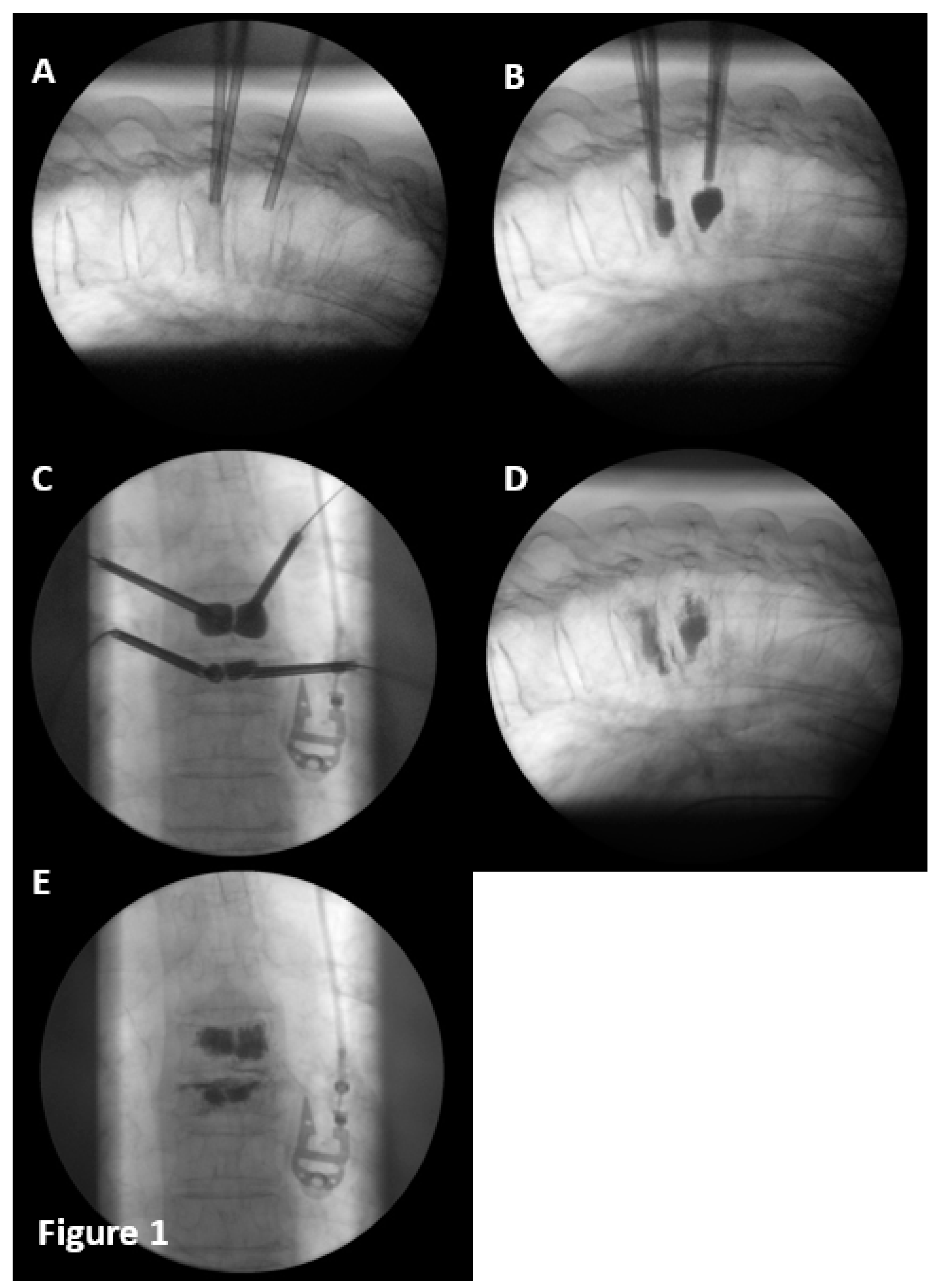 Preprints 90542 g001