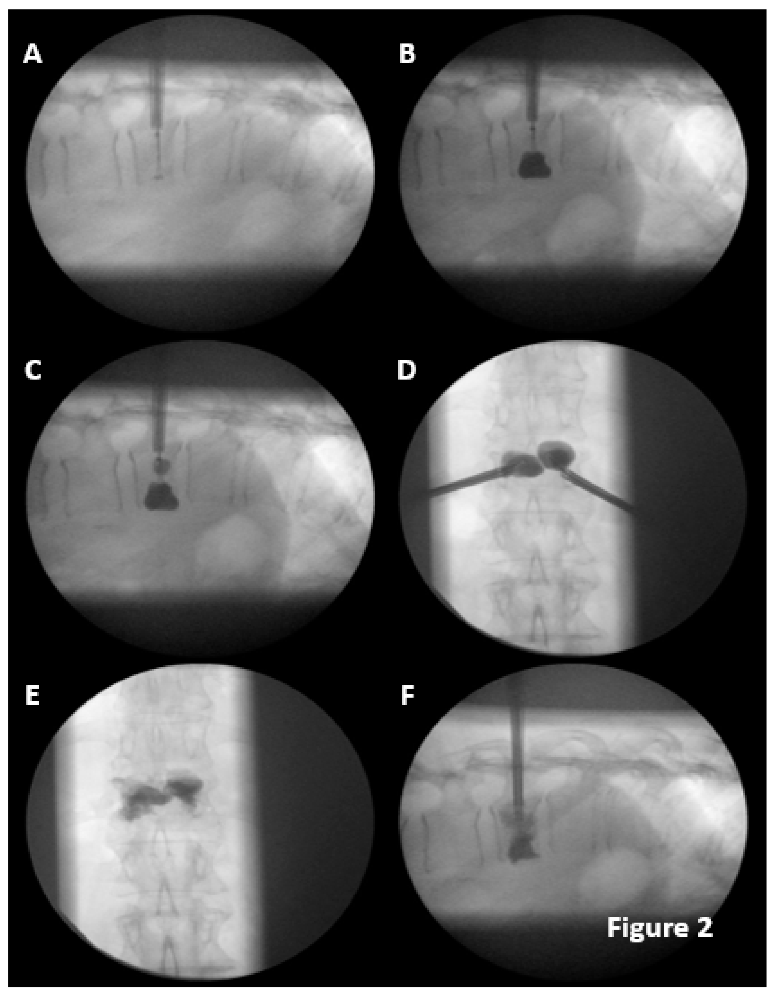 Preprints 90542 g002