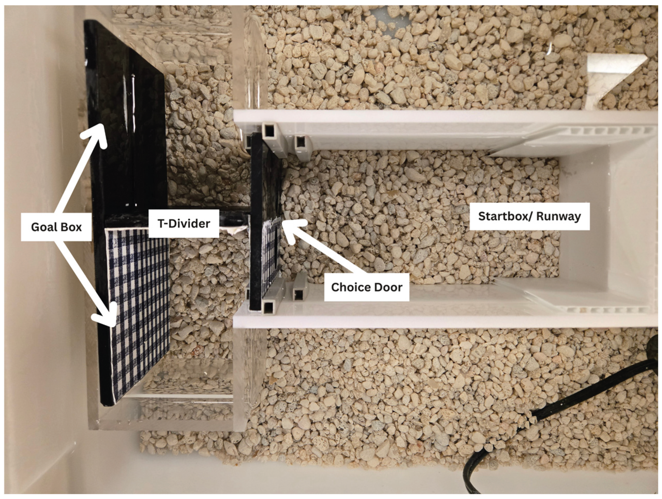 Preprints 179341 g001