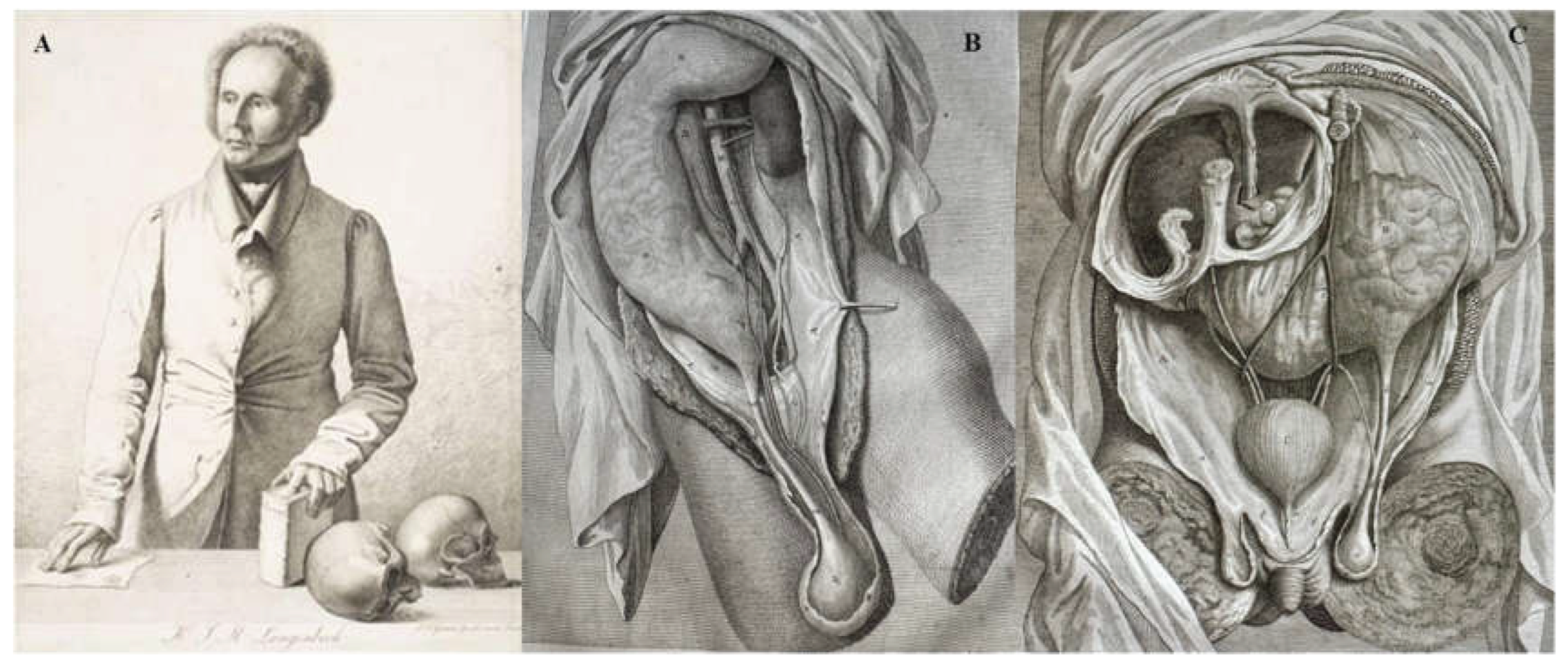 Preprints 195007 g001