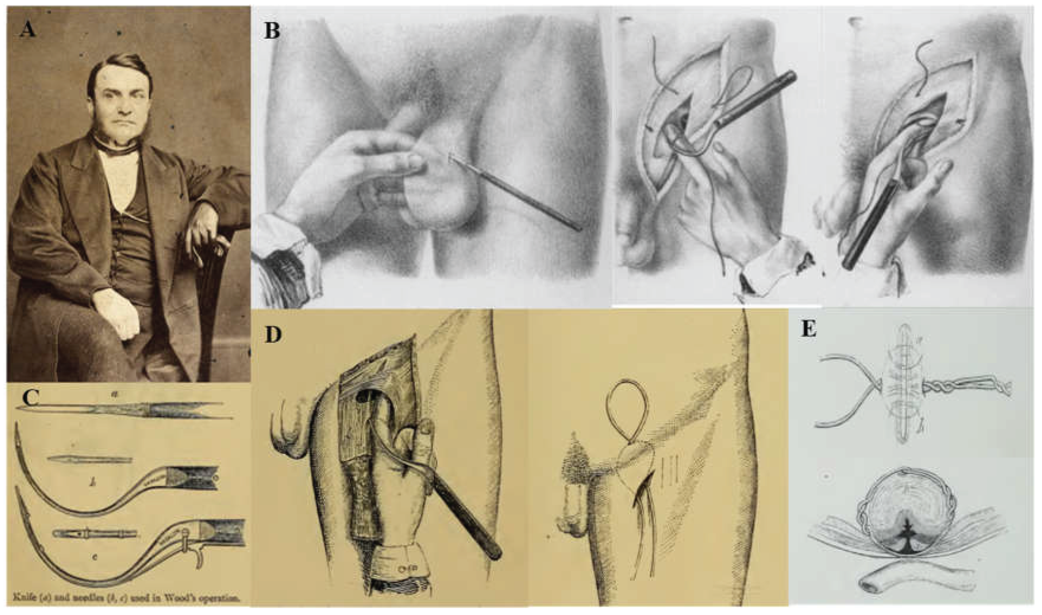 Preprints 195007 g002