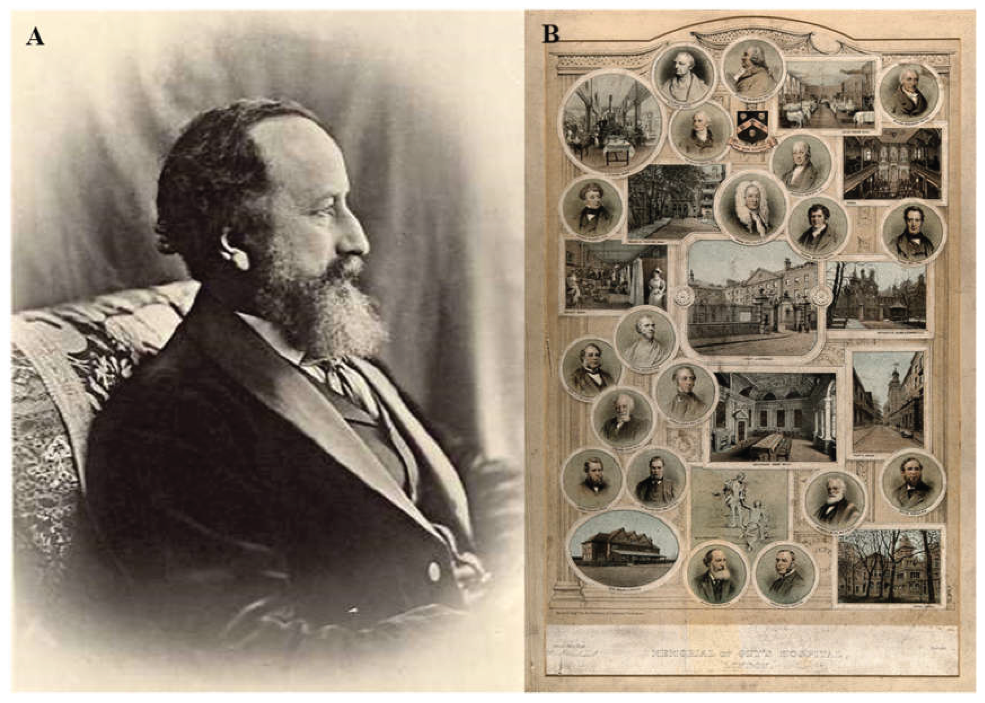 Preprints 195007 g003