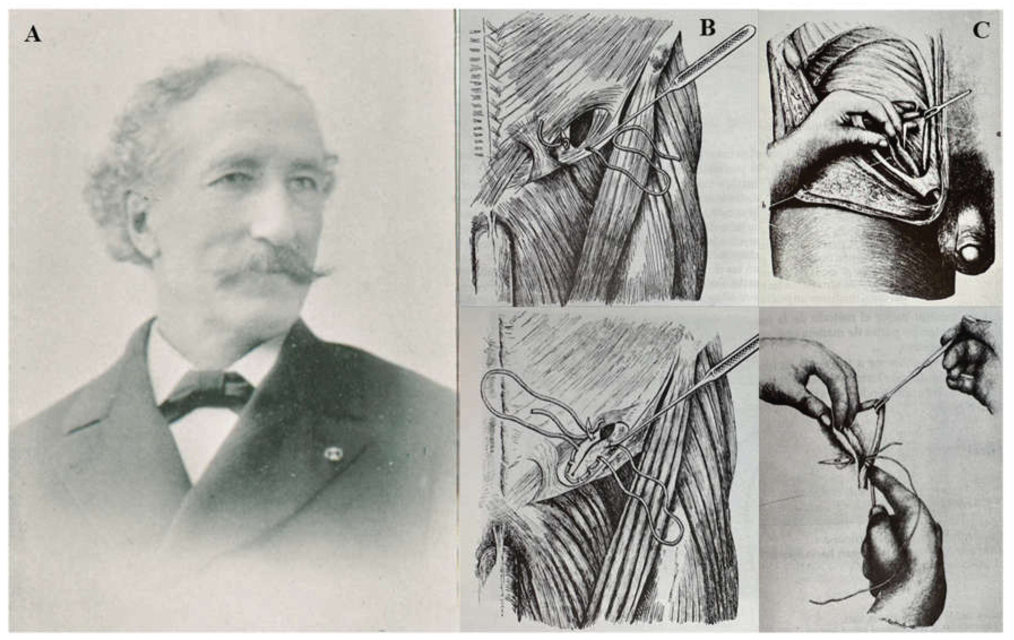 Preprints 195007 g004