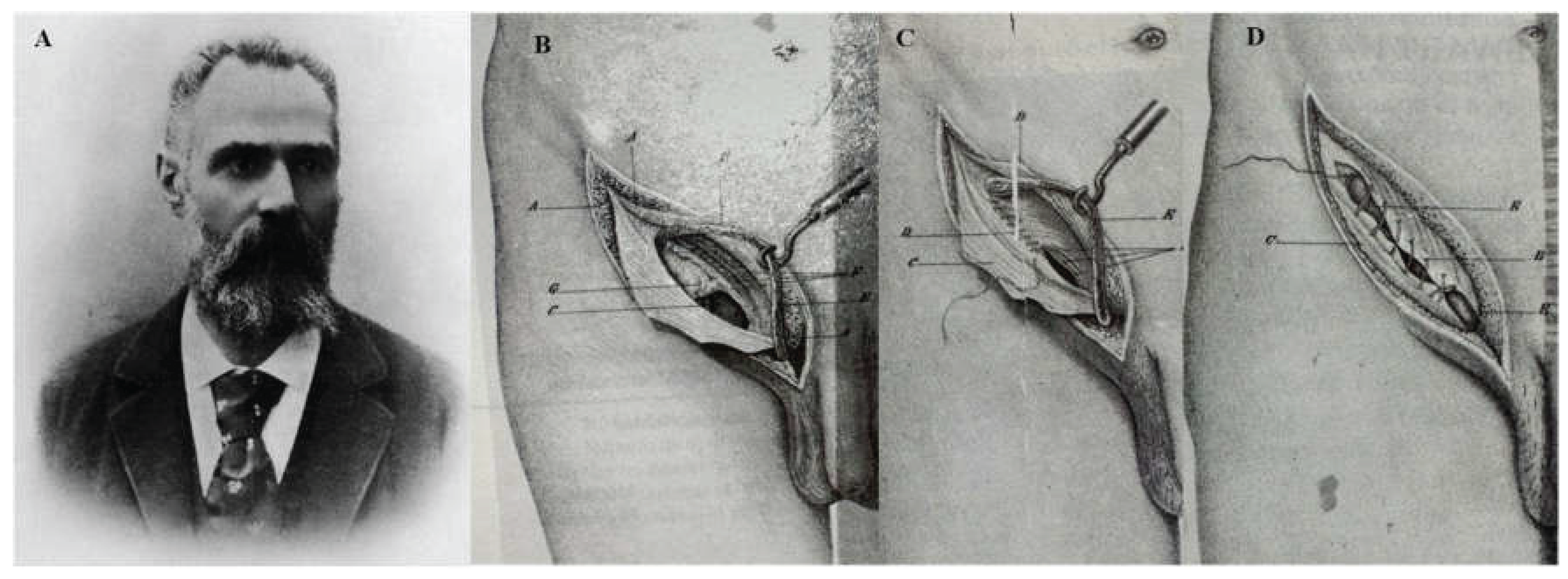Preprints 195007 g006
