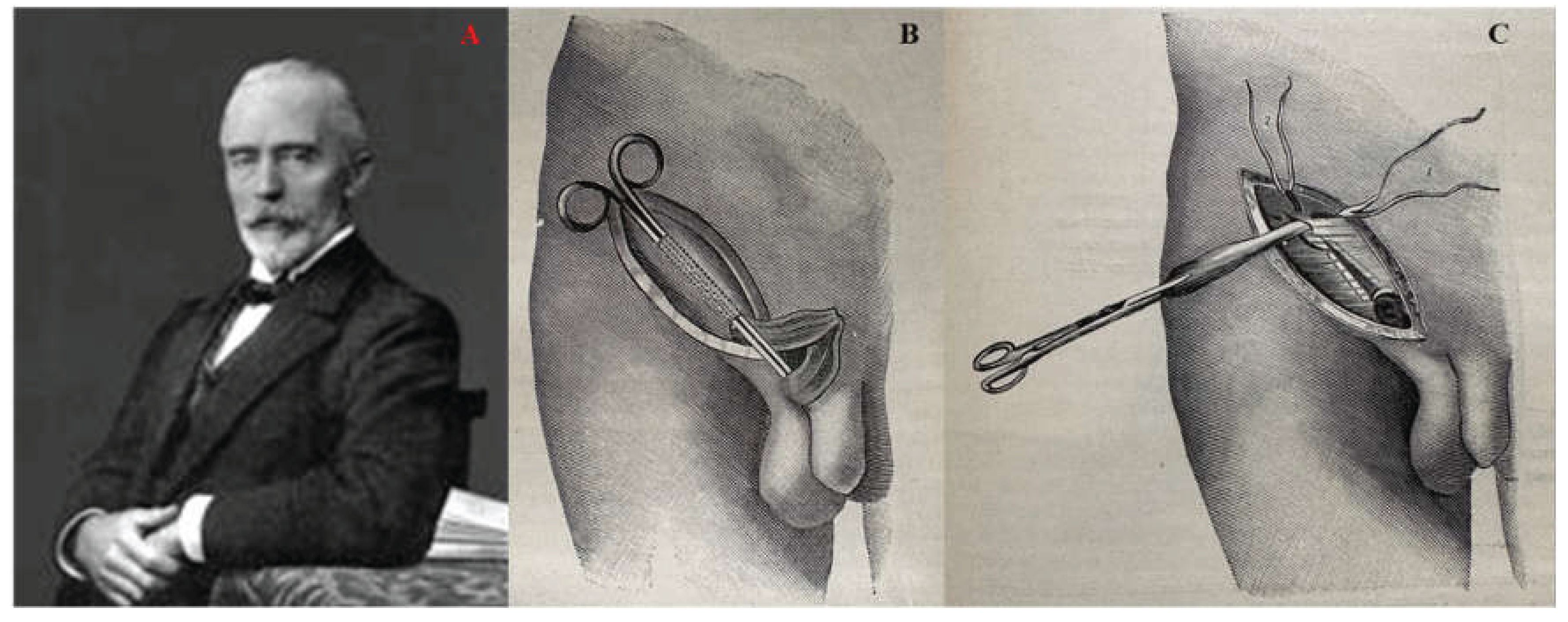 Preprints 195007 g007