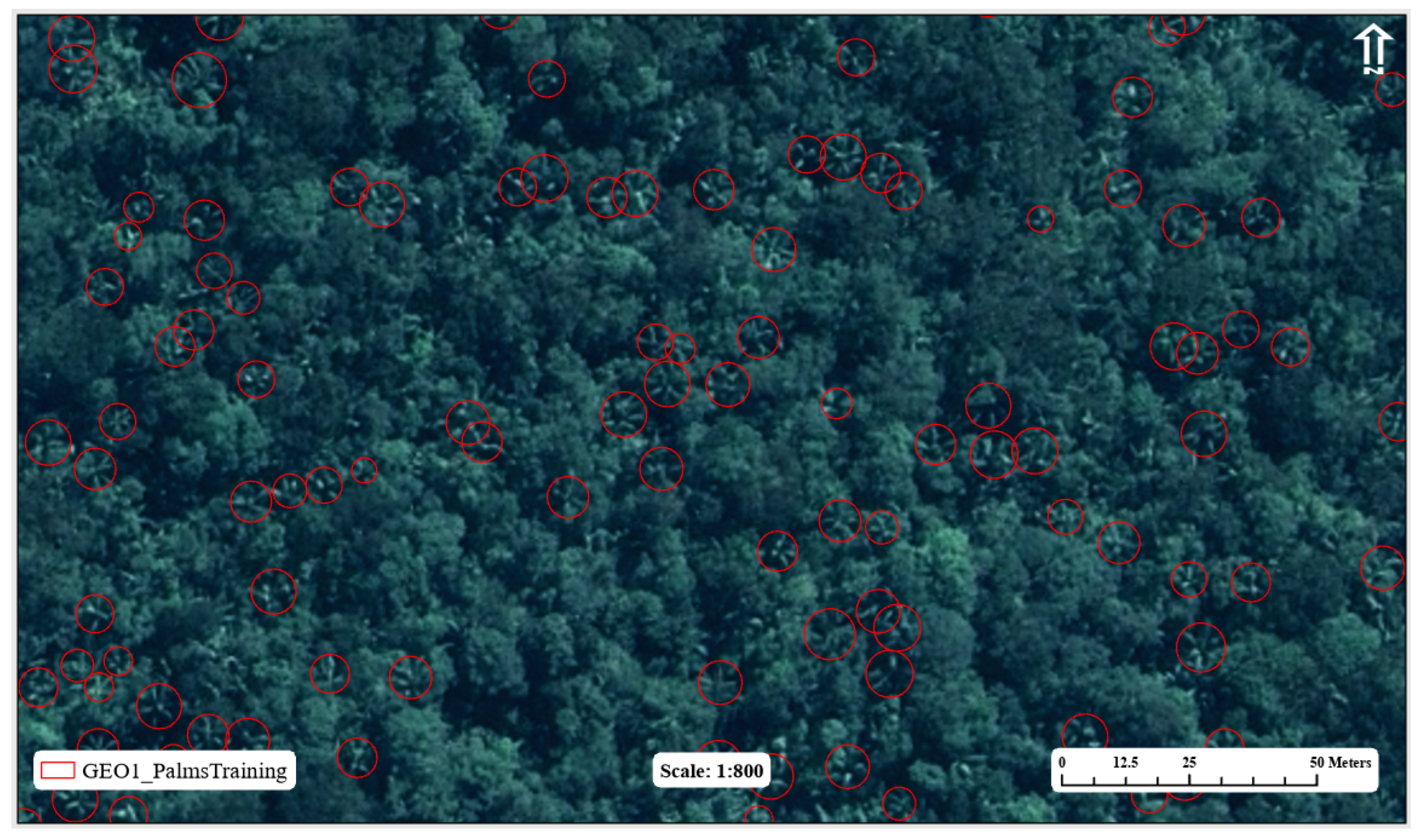 Preprints 139517 g002