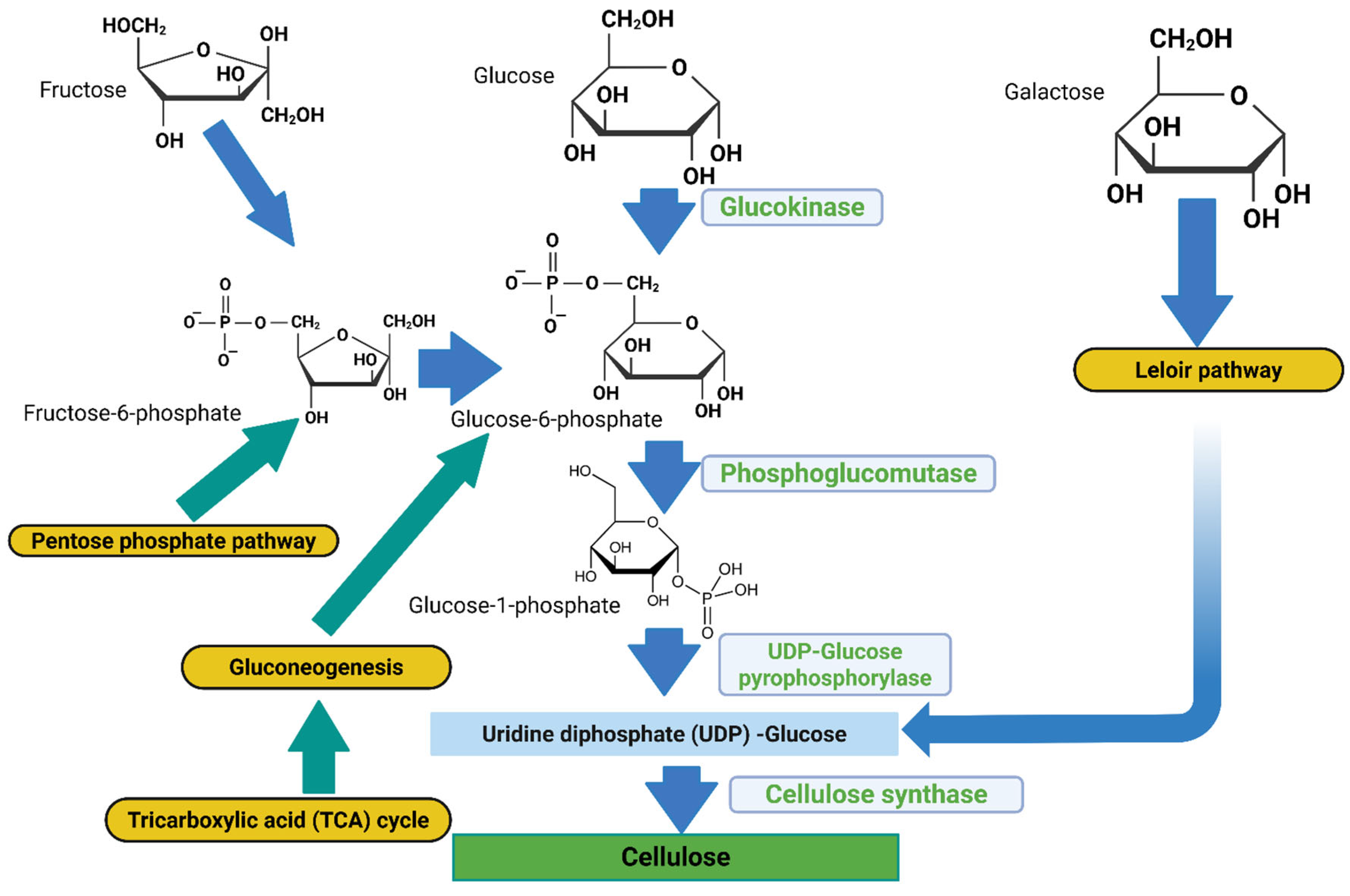 Preprints 184035 g001