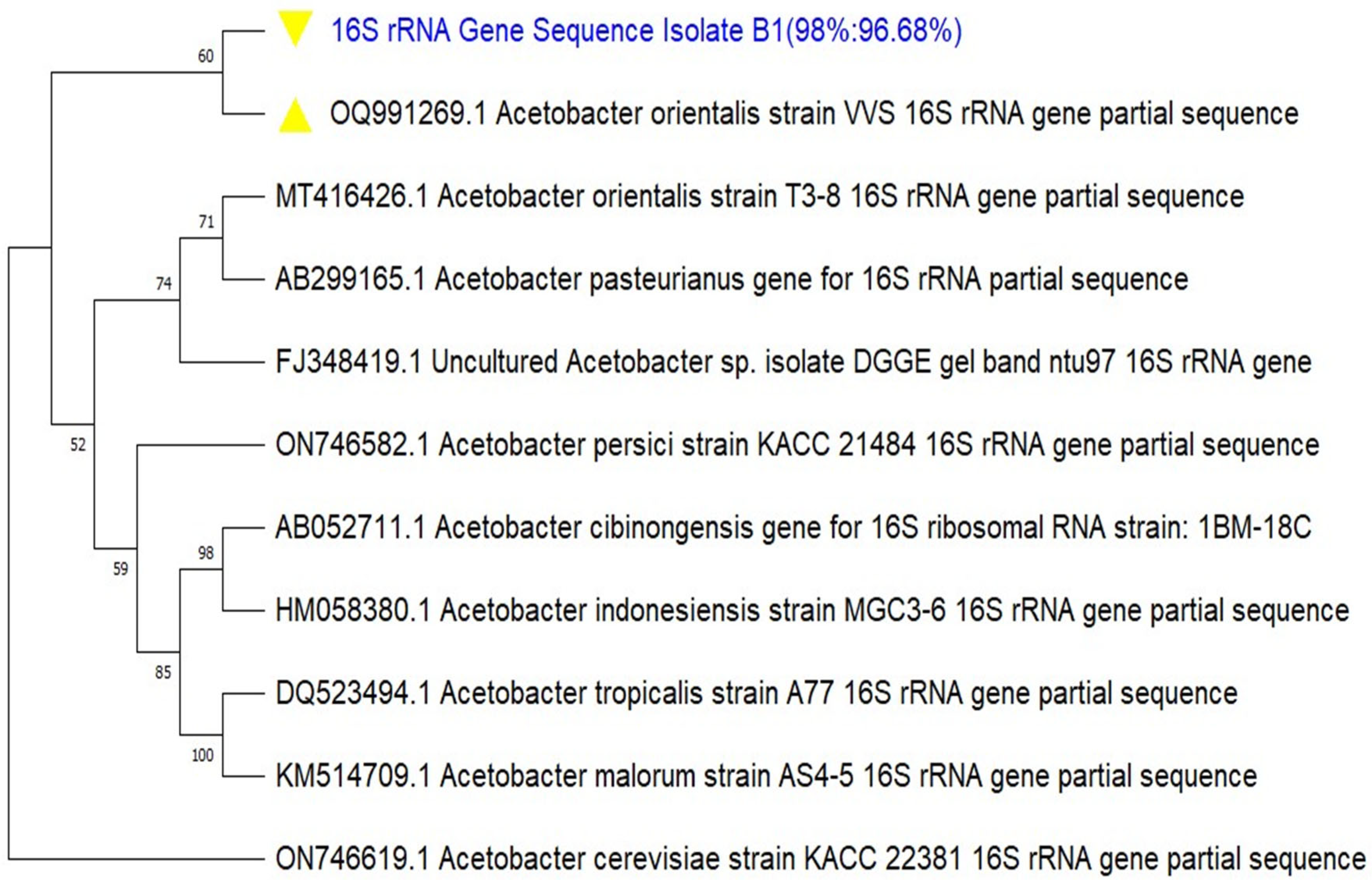 Preprints 184035 g004